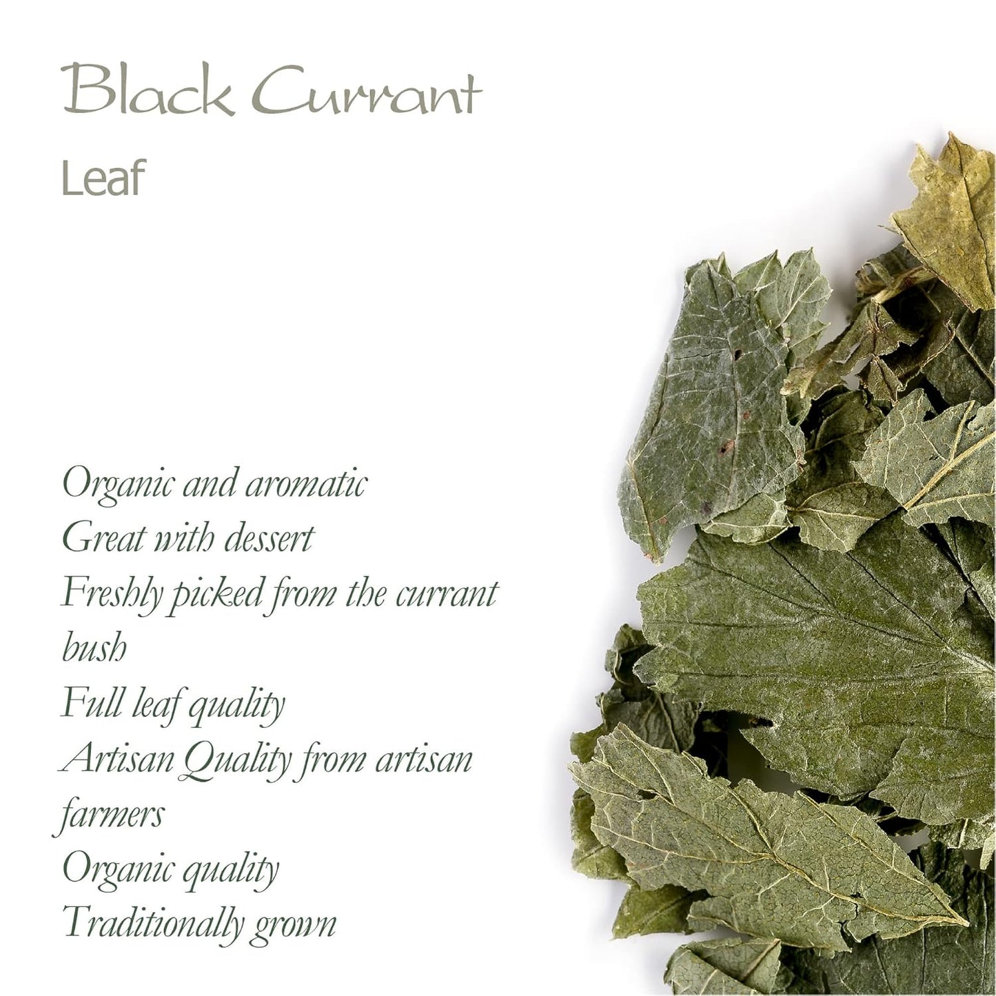 Organic Black Currant Leaf Tea - Perfect Pairing for Desserts - Ribes Nigrum Valley Tea - Espot.com.au