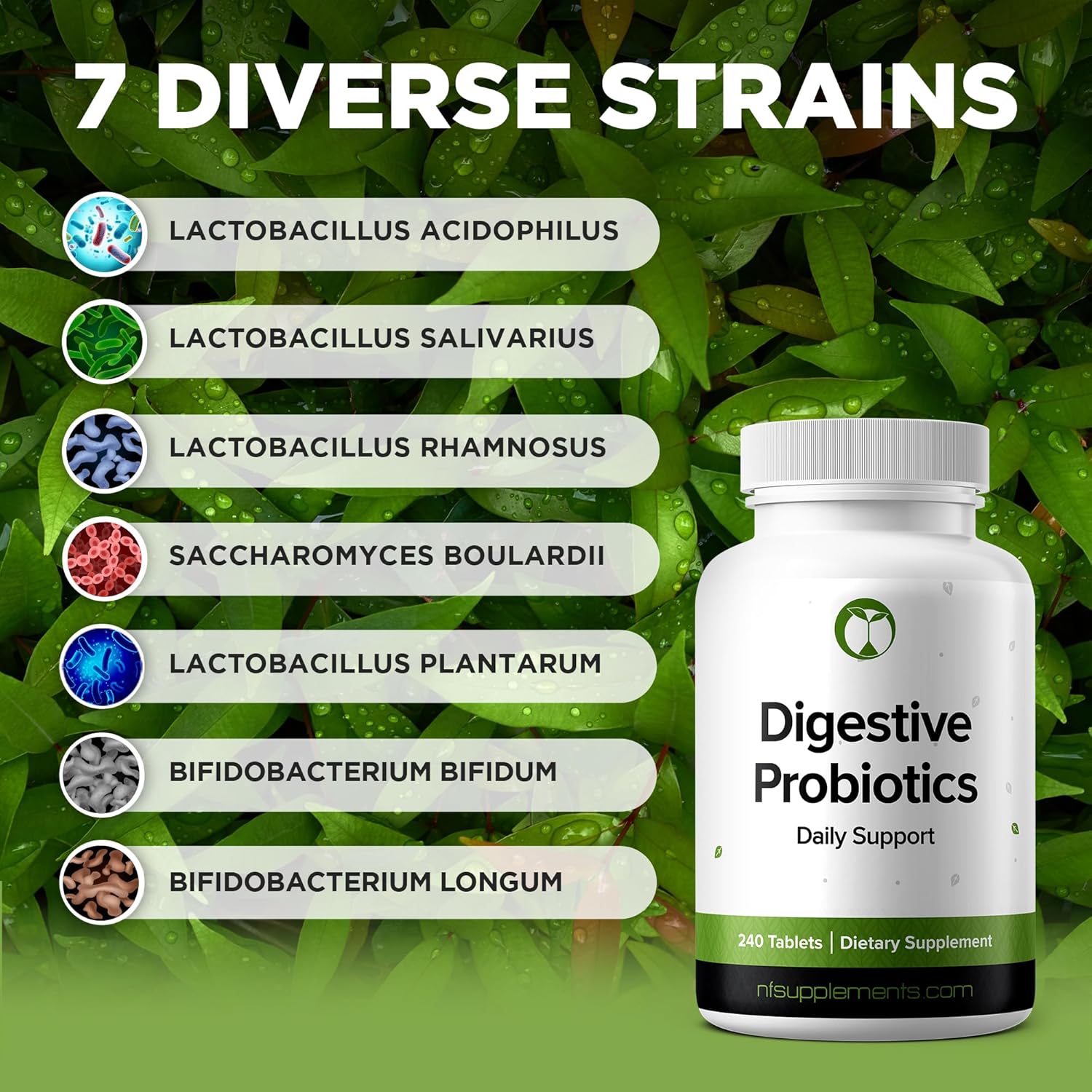 digestive-health-probiotic-supplement-with-3-billion-cfu-240-tablets-for-men-women---natural-foundation-supplements-for-gut-health---made-in-the-usa-5