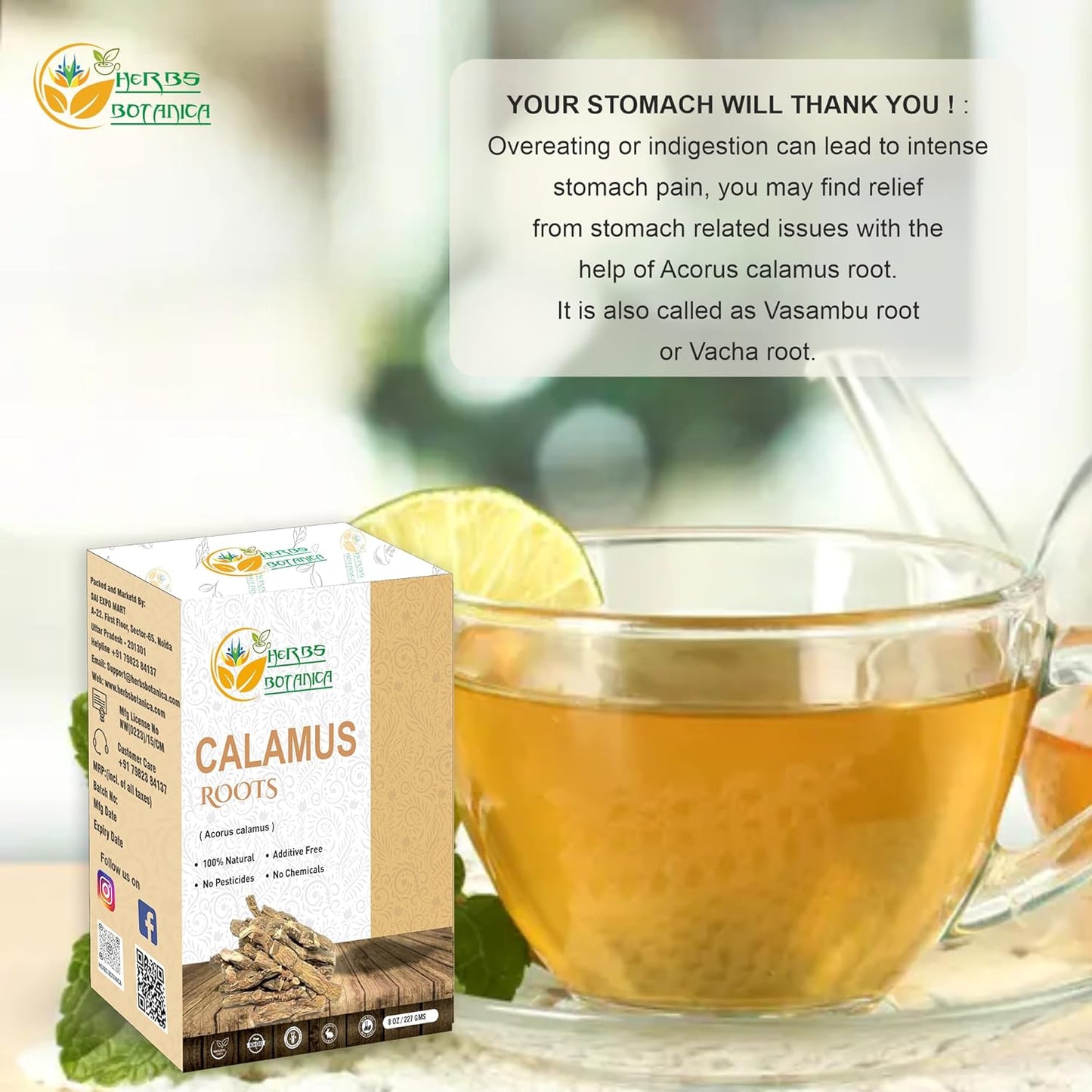 calamus-root-loose-dried-herb---skin-stomach-health-benefits-herbal-tea---8-oz-12-lb---sweet-flagvachavasambu---herbs-botanica-4
