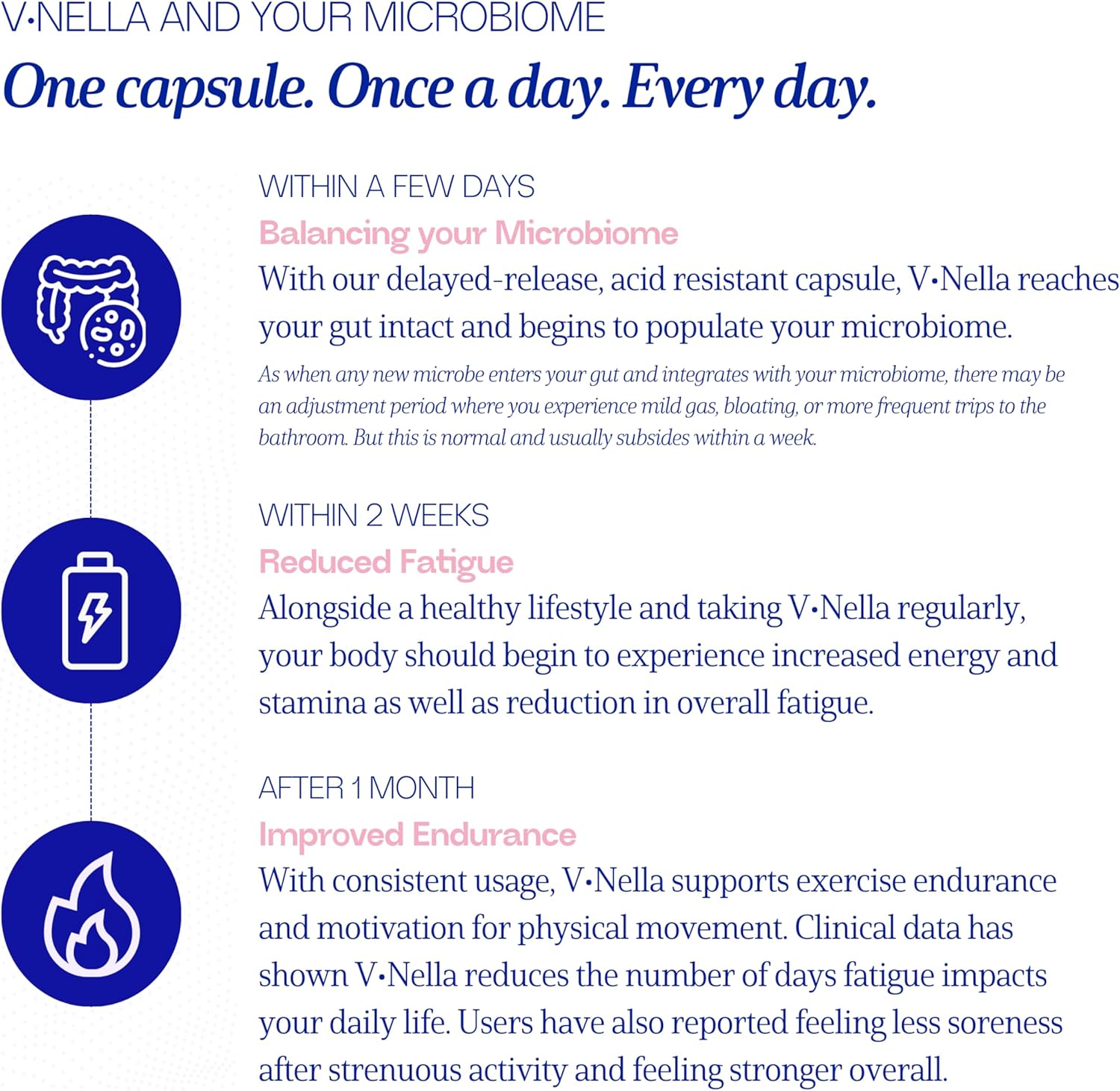 vnella-lactic-acid-metabolizing-probiotic-supplement---gut-health-energy-booster-for-fatigue---supports-endurance-digestive-health-6
