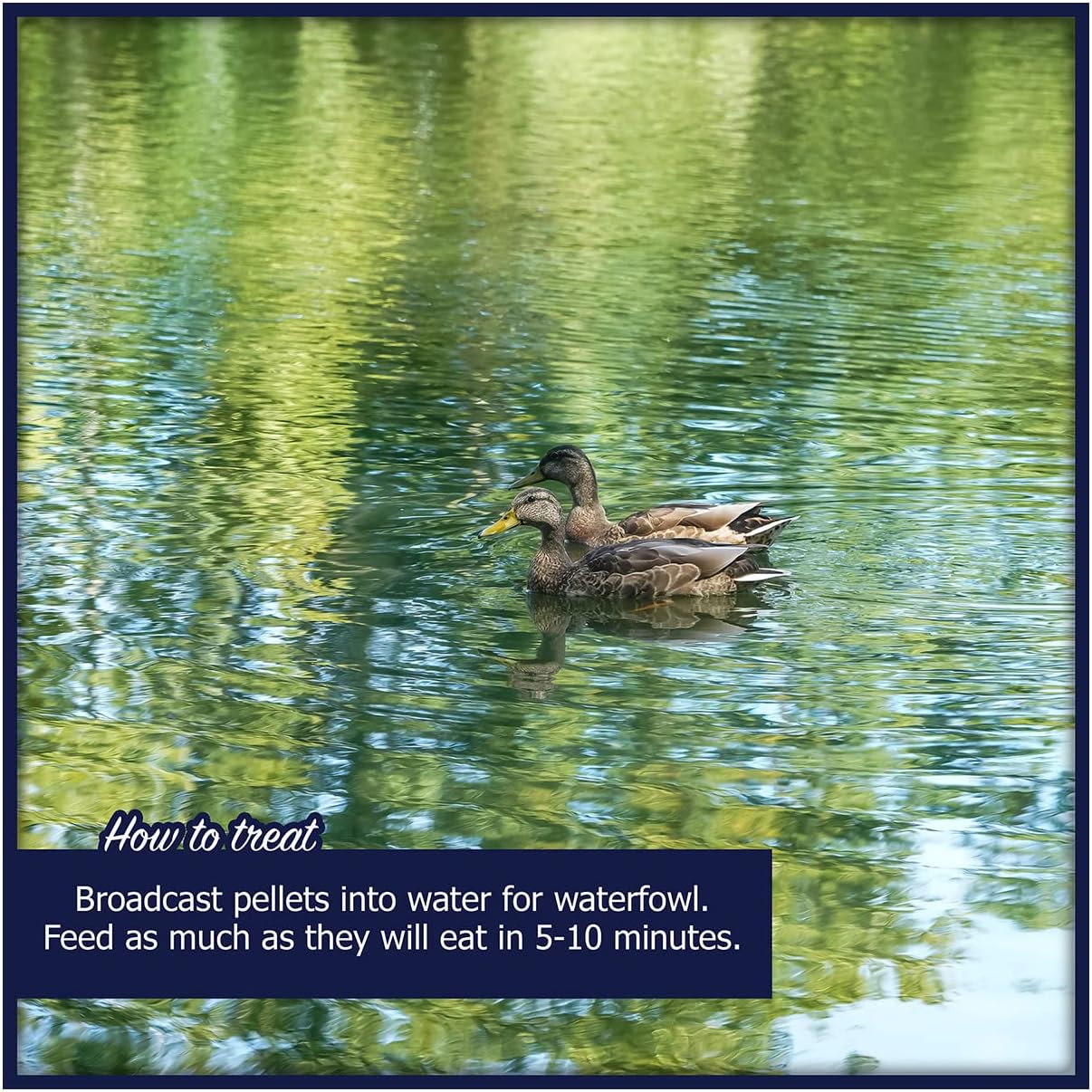 floating-waterfowl-feed-pellets-5-lb-resealable-bag-for-ducks-swans-geese-natural-ingredients-ideal-for-wild-or-pet-ducks-7