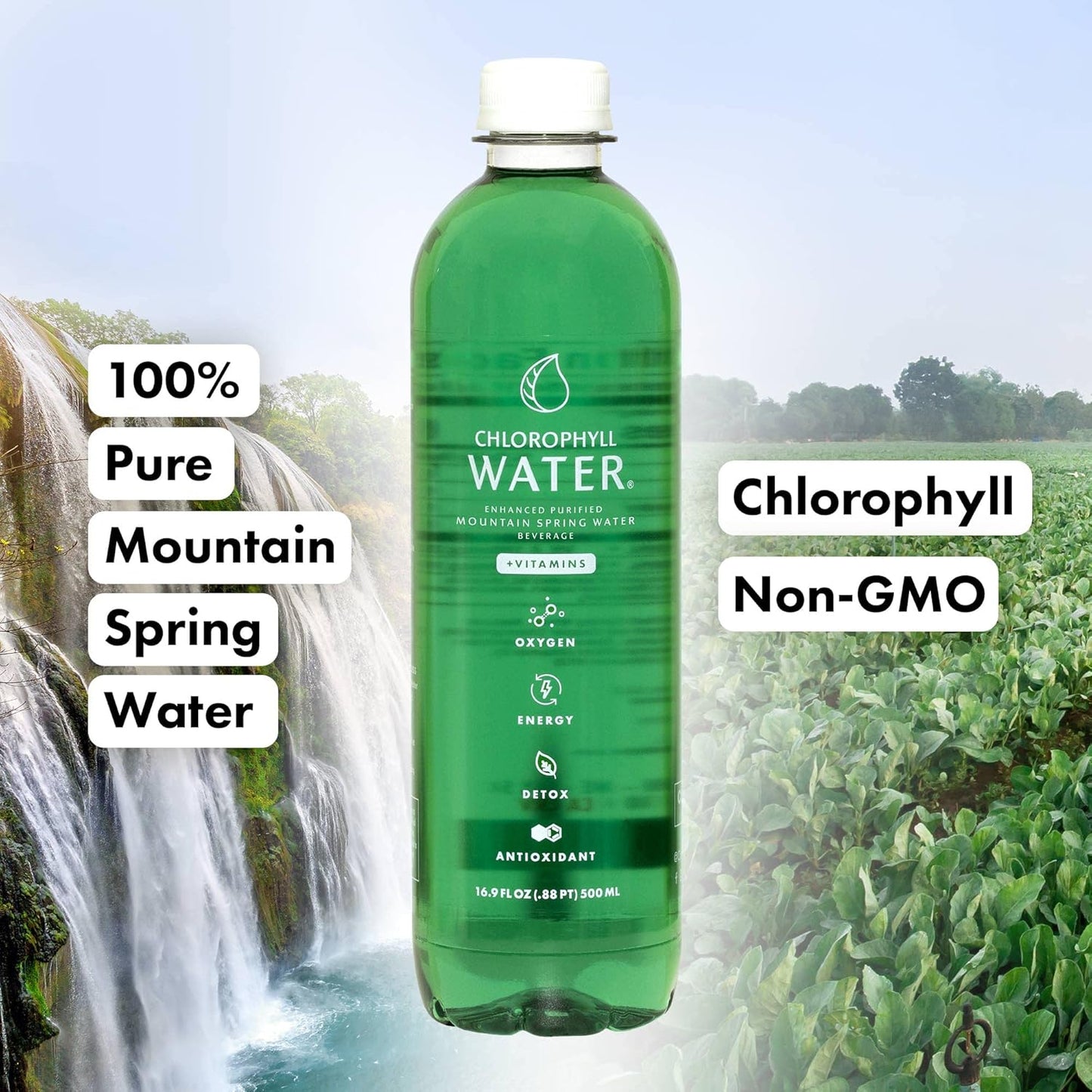 plant-based-chlorophyll-water-with-antioxidants-for-detox-and-immune-support---liquid-chlorophyll-and-vitamins-a-b-c-d---zero-calories---6-pack-3