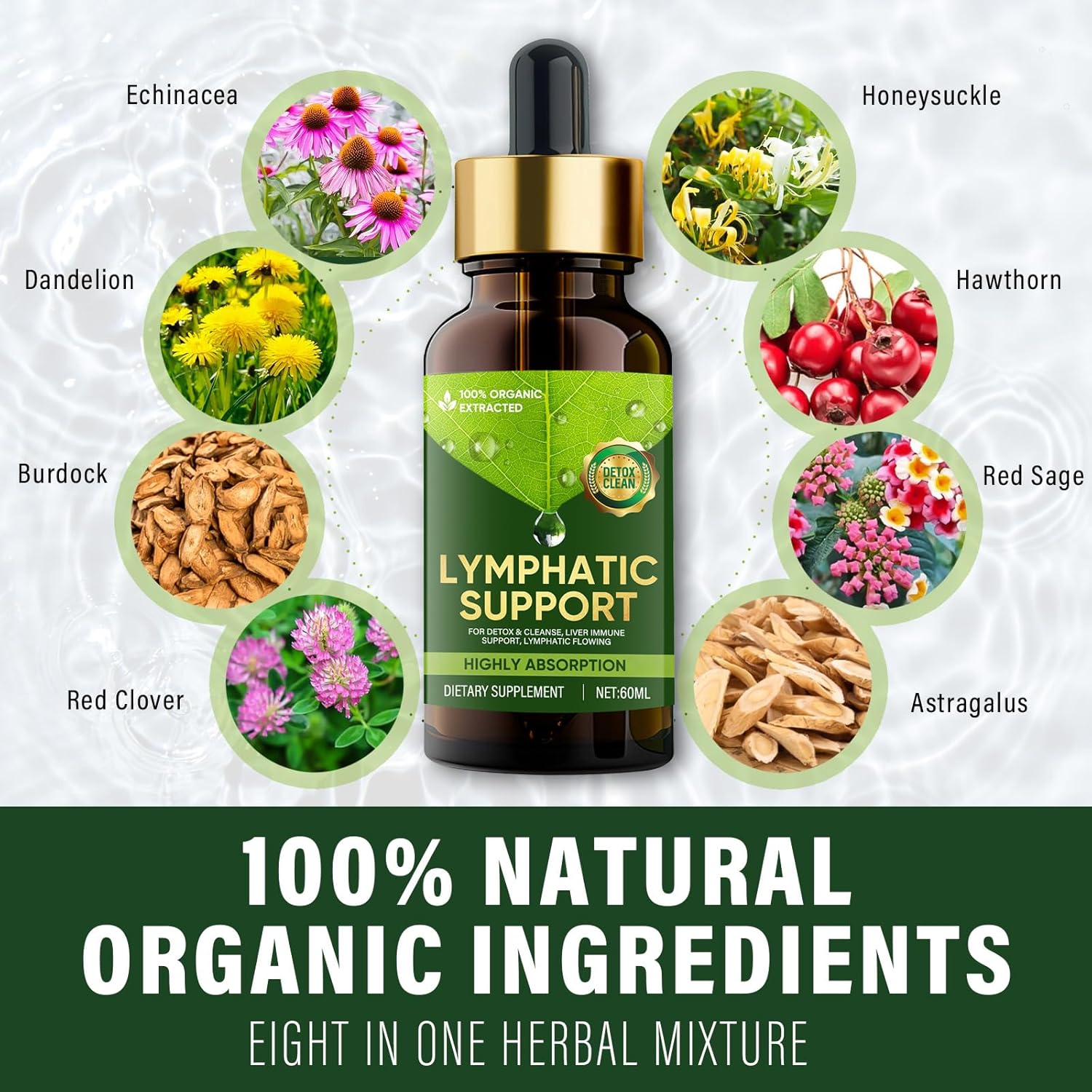 lymphatic-drainage-drops-with-red-clover-extract-for-edema-relief-and-immune-support-4