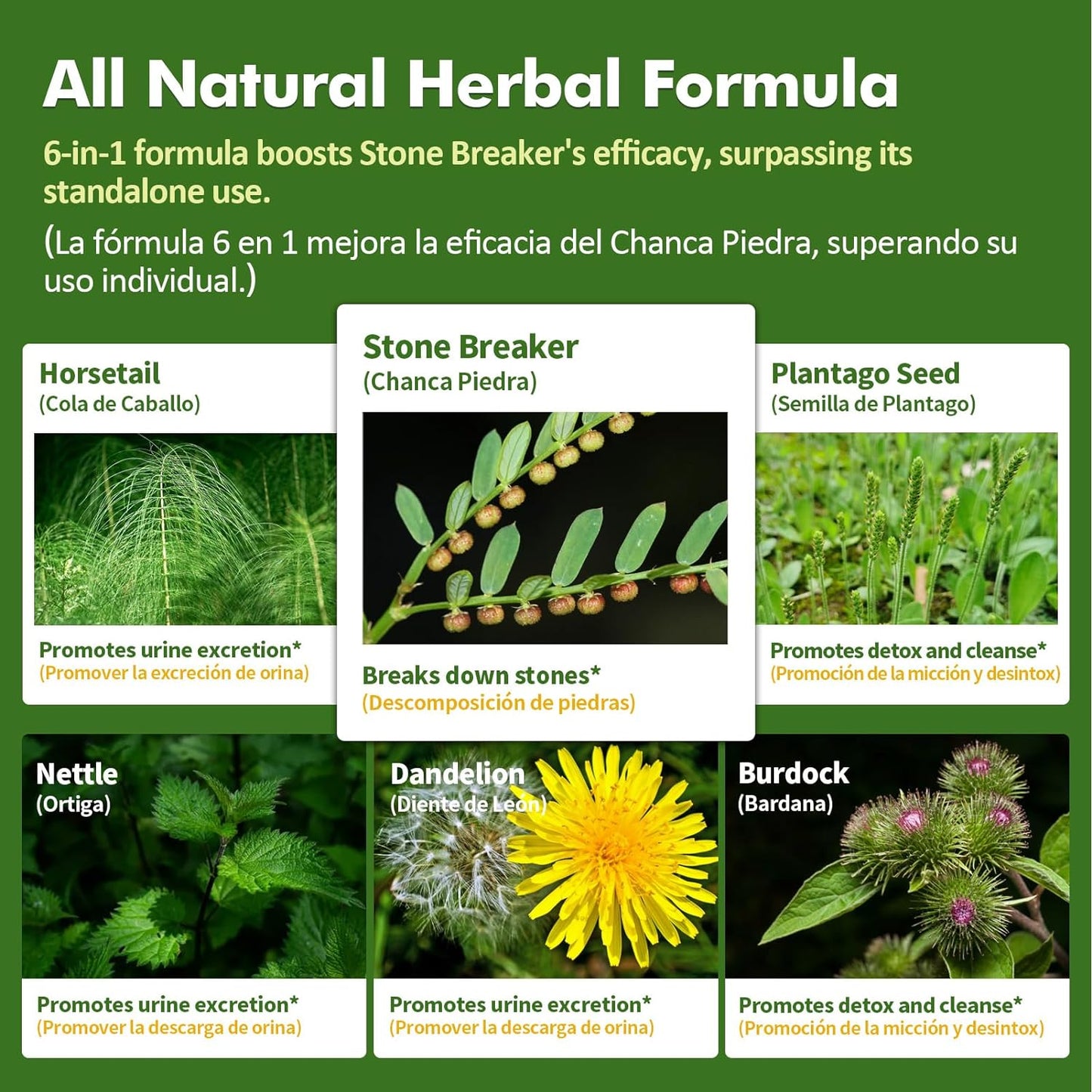 herbmood-stone-breaker-drops-with-horsetail-extract-for-kidney-gallstone-support---2-oz-bottle---natural-kidney-cleanse-detox---herbal-remedy-for-kidney-stones-gallstones-4