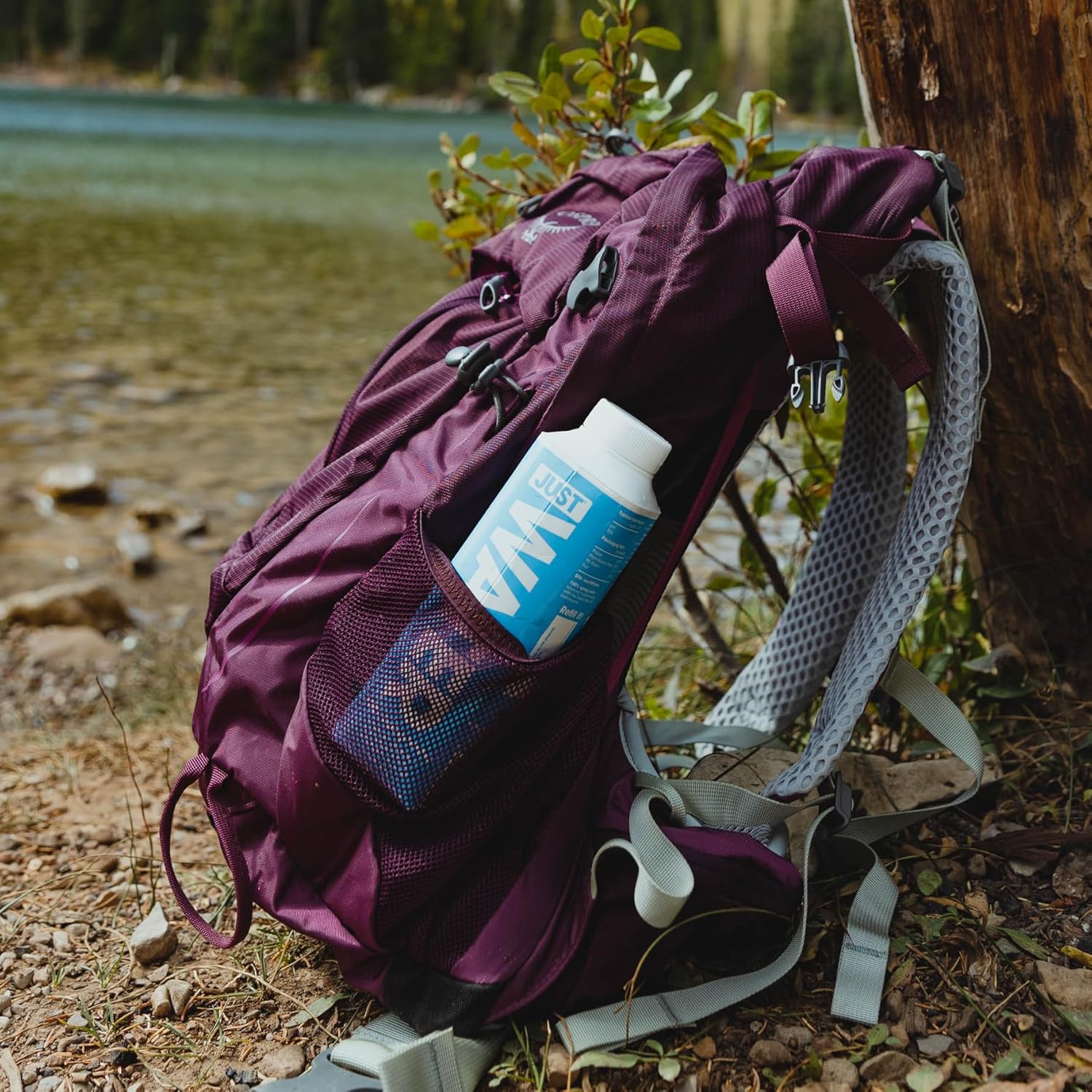 JUST Water Premium Pure Still Spring Water Eco-Friendly Plant-Based Bottle 8.0 pH 16.9 Fl Oz (Pack of 12) - Espot.com.au