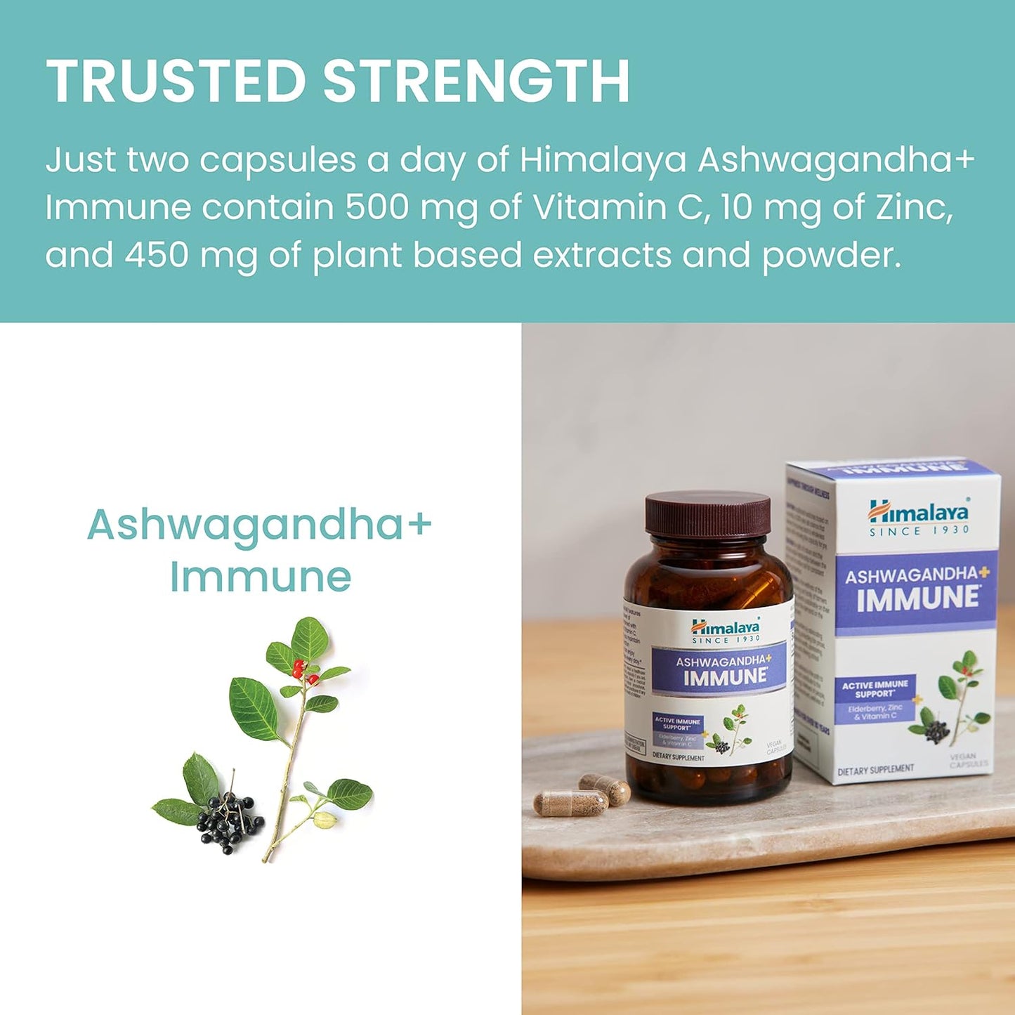 Immune Support Capsules with Ashwagandha, Elderberry, Zinc & Vitamin C - 60 Vegan Capsules, Gluten Free - 1 Month Supply - Espot.com.au