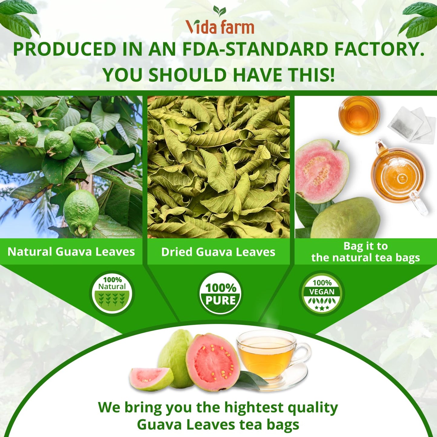 organic-guava-leaf-tea-bags---75-bags-of-handpicked-dried-guava-leaves---zero-sugar-non-gmo-caffeine-free-gluten-free---vegan-friendly-tea-7