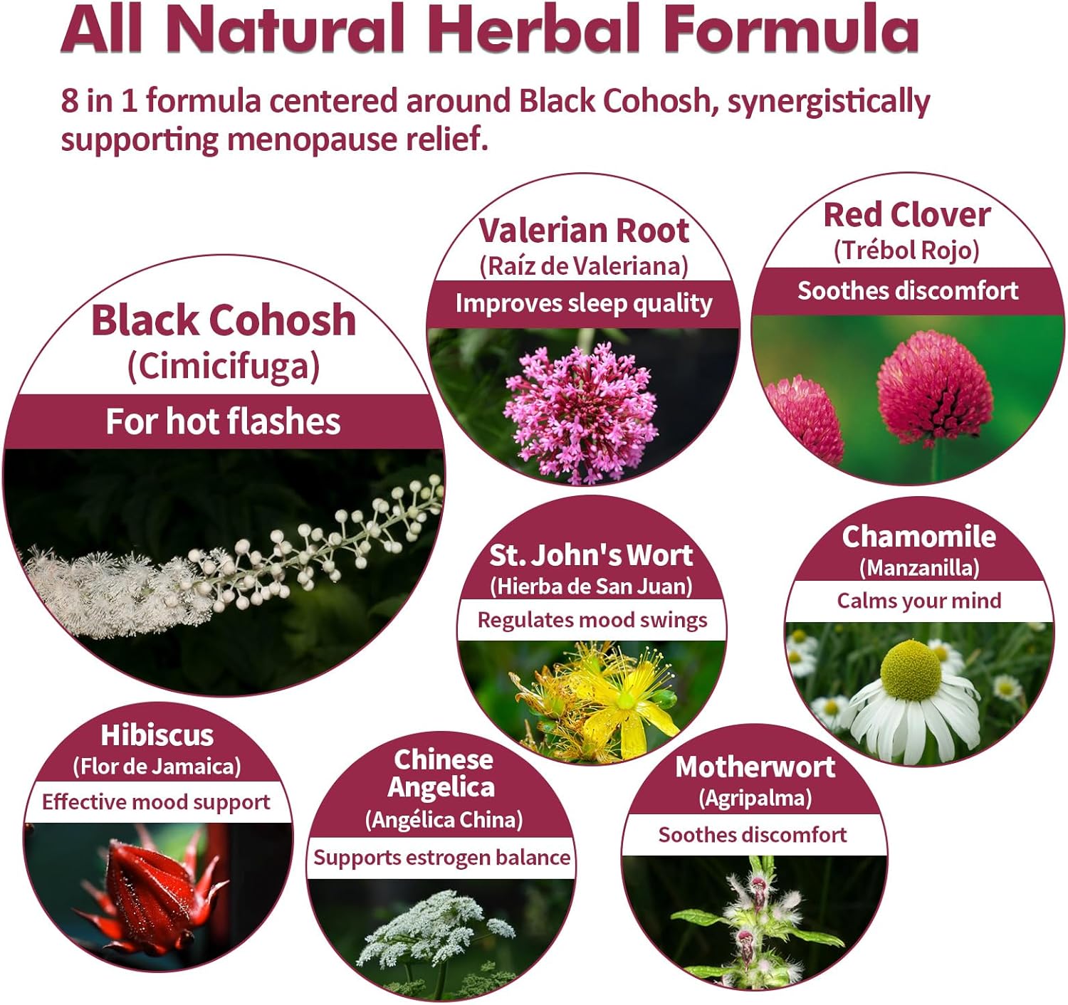 black-cohosh-menopause-support-drops-with-red-clover-motherwort-st-johns-wort-extract---phytoestrogen-supplements-for-hot-flashes-night-sweats---2oz-bottle---cimicifuga-para-menopausia-5