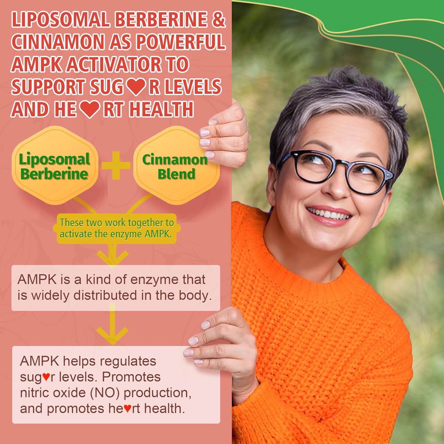sugar-free-liposomal-berberine-gummies-with-turmeric---8-in-1-supplement-for-digestion-liver-and-overall-health---includes-ceylon-cinnamon-fiber-bitter-melon-and-artichoke-4