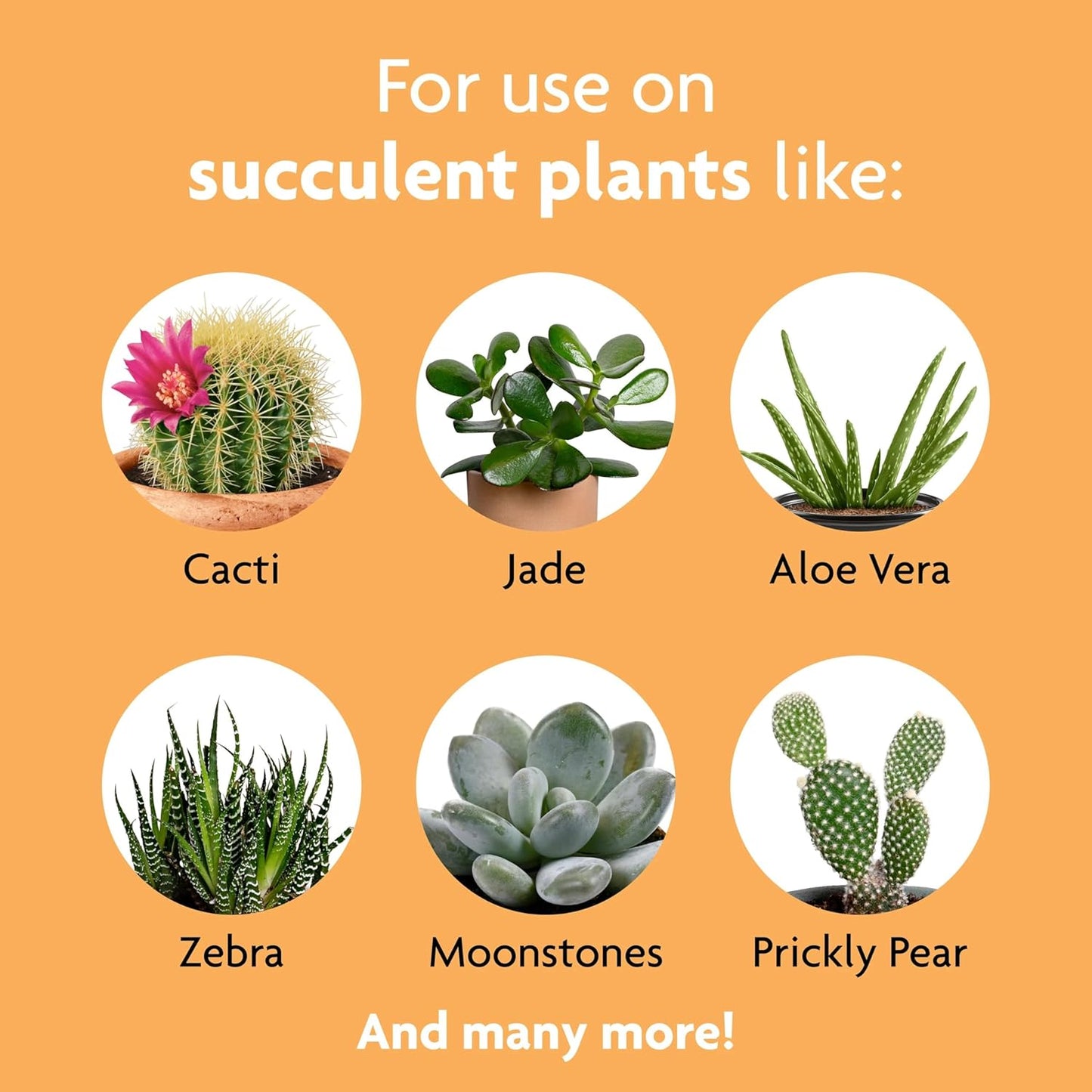 liquid-succulent-plant-food-for-indoor-plants-8-oz-bottle-pack-of-3---miracle-gro-formula-for-cacti-aloe-vera-jade-plants-and-more-4