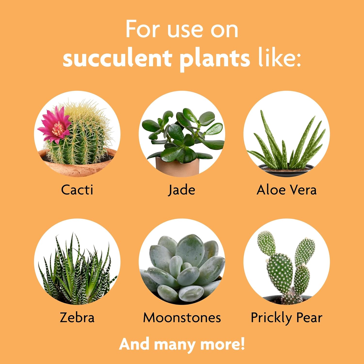 liquid-succulent-plant-food-for-indoor-plants-8-oz-bottle-pack-of-3---miracle-gro-formula-for-cacti-aloe-vera-jade-plants-and-more-4