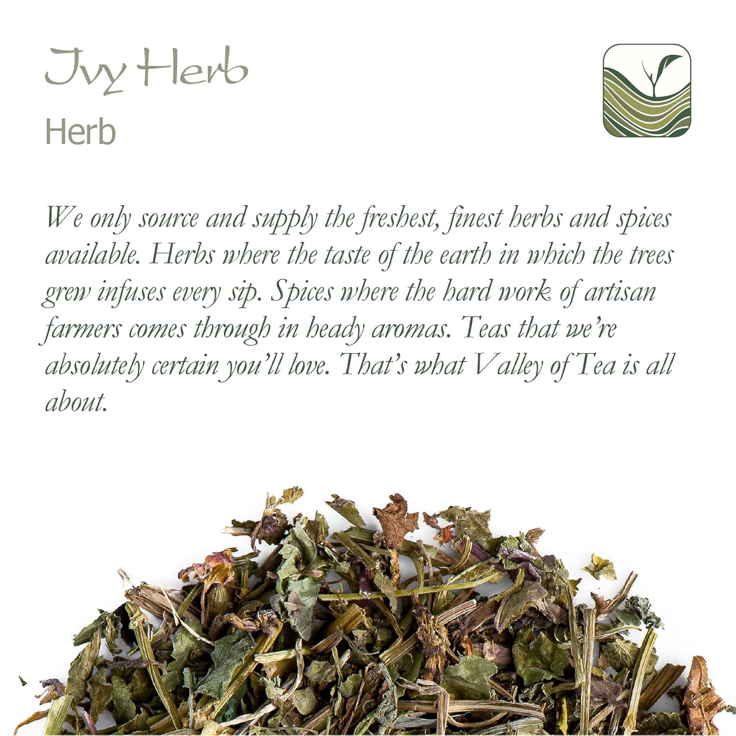Organic Ground Ivy Tea - Premium Quality Catsfoot Herbal Tea - Glechoma Hederacea Ivy Herb Tea - Valley of Tea Blend - Espot.com.au
