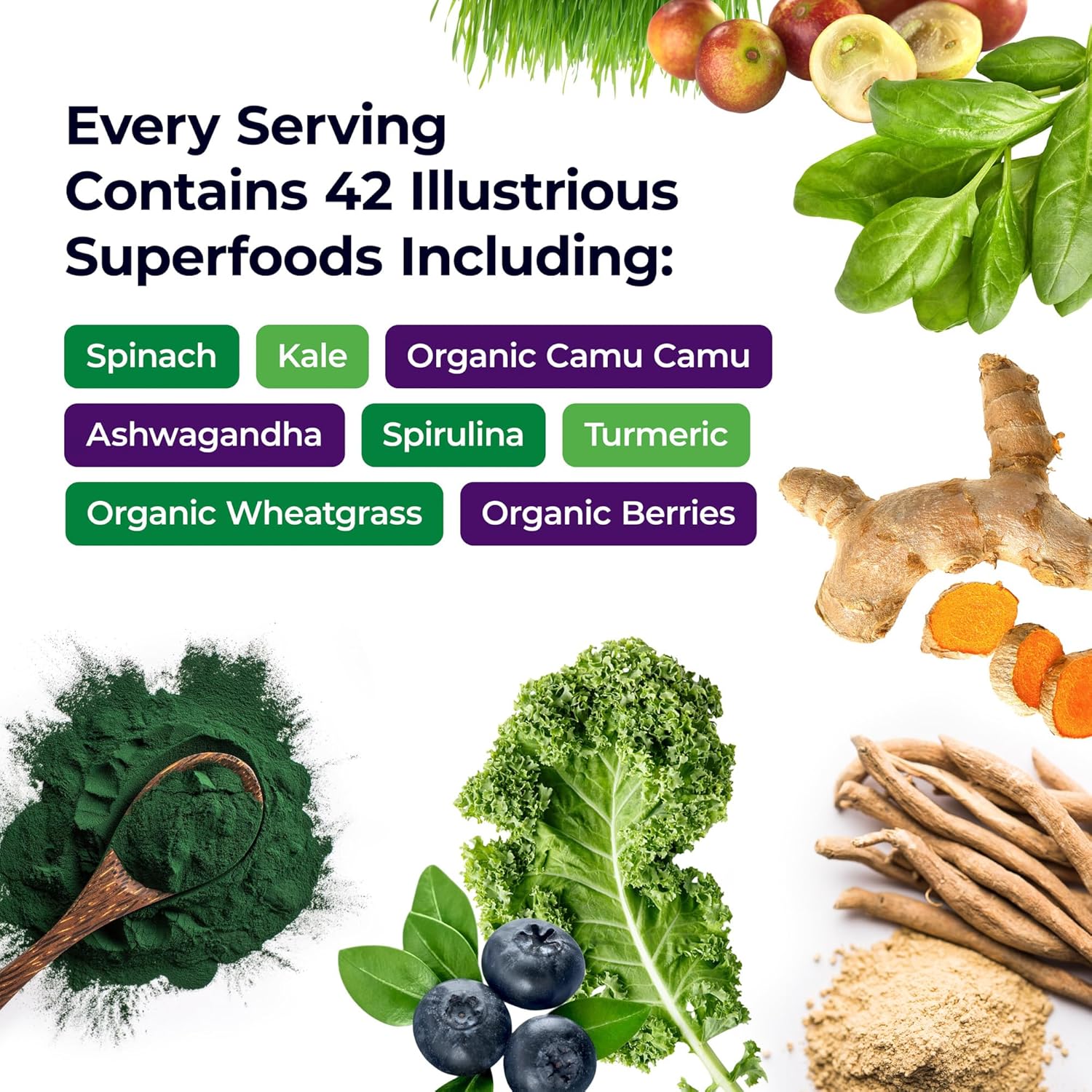 paradise-herbs-orac-energy-greens-powder-antioxidants-probiotics-vitamin-c-spirulina-chlorella-non-gmo-gluten-free---30-servings-2
