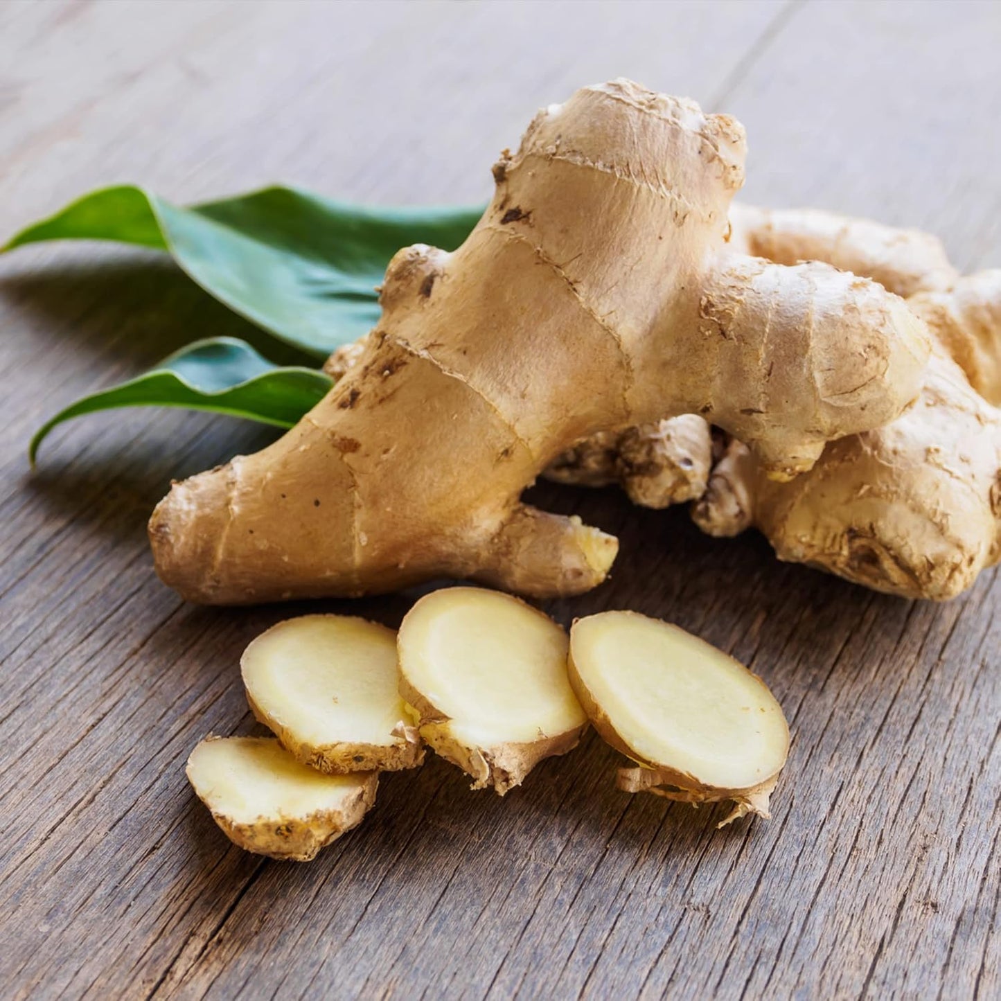 organic-ground-ginger-root-powder---409oz-by-frontier-co-op-3