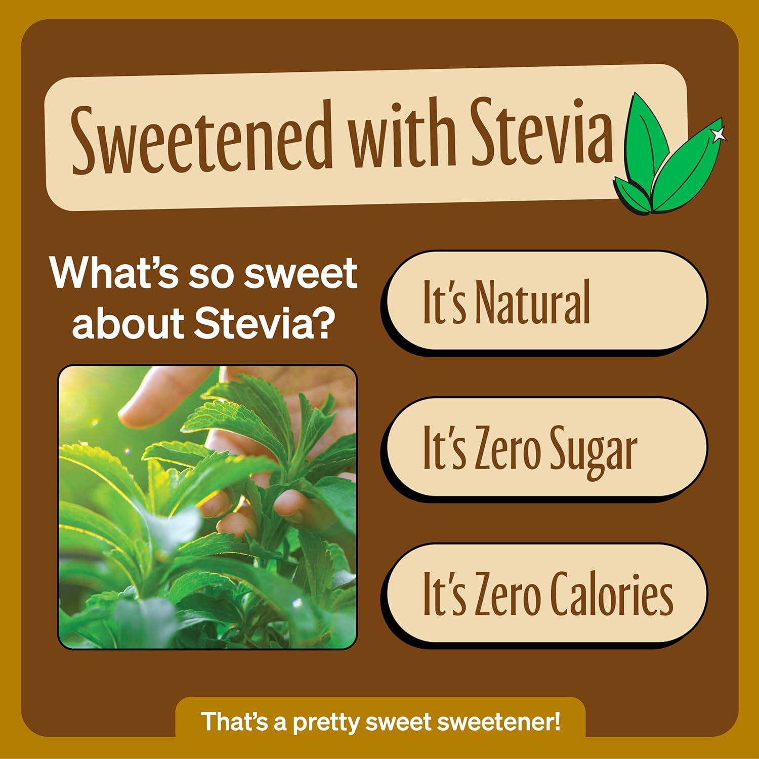 zevia-creamy-root-beer-zero-sugar-soda-12-oz-cans-8-pack---naturally-sweetened-zero-calorie-non-gmo---gluten-free-vegan---zevia-soda-6