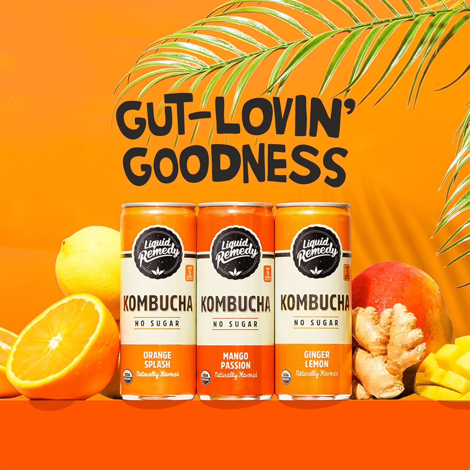 organic-sugar-free-kombucha-variety-pack---tropical-trio-flavors-85-fl-oz-cans-12-pack---low-calorie-probiotic-tea-for-gut-health-5