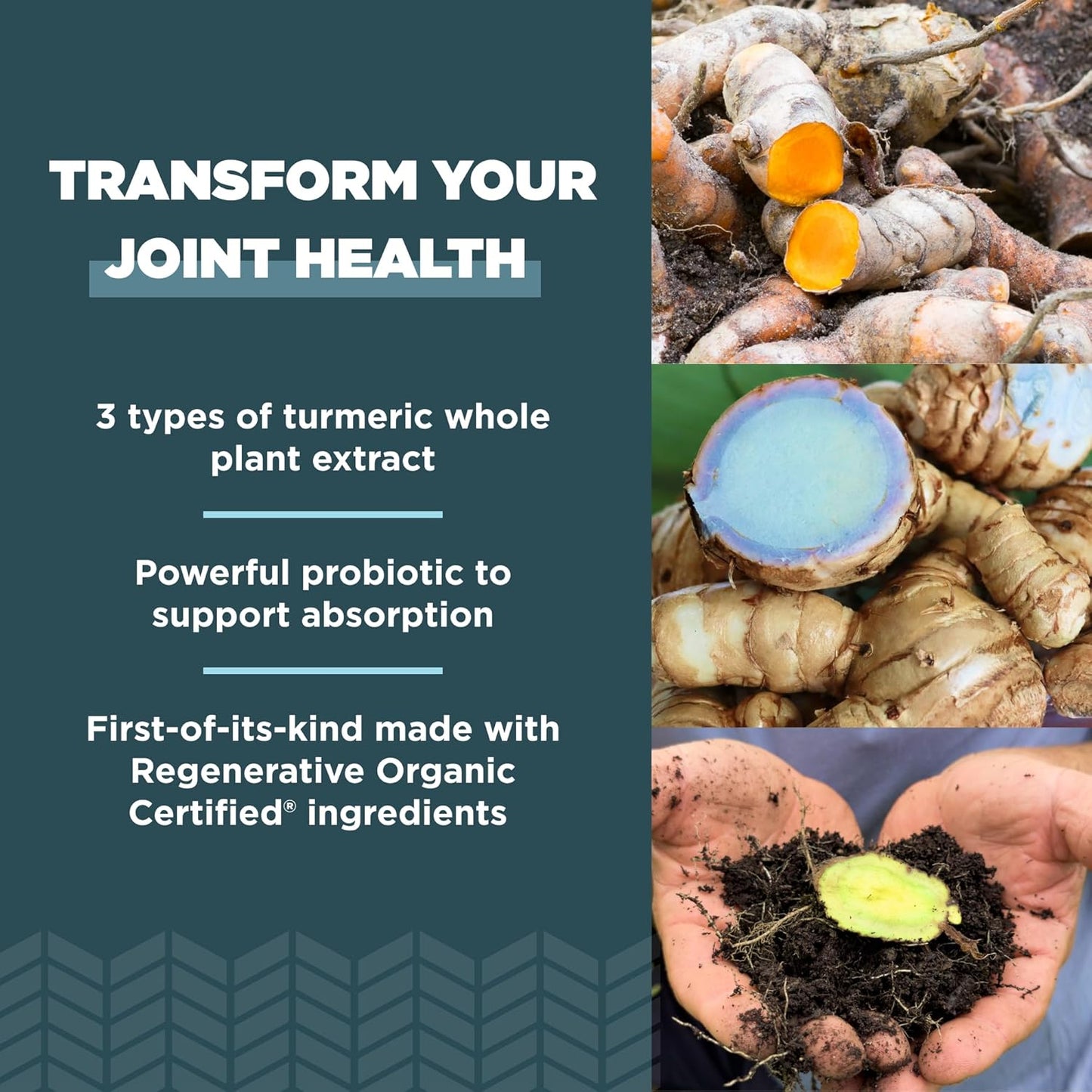 certified-organic-turmeric-capsules-for-joint-support-and-inflammation-gluten-free-paleo-keto-friendly-90-count-4