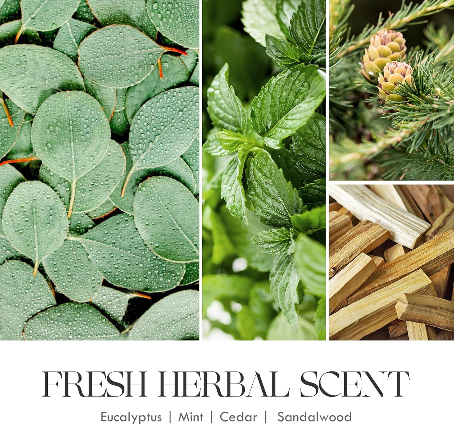 eucalyptus-mint-scented-soy-candle-for-aromatherapy-and-home-9oz---aoovoo-eucalyptus-candle-long-lasting-soy-wax-candle-4