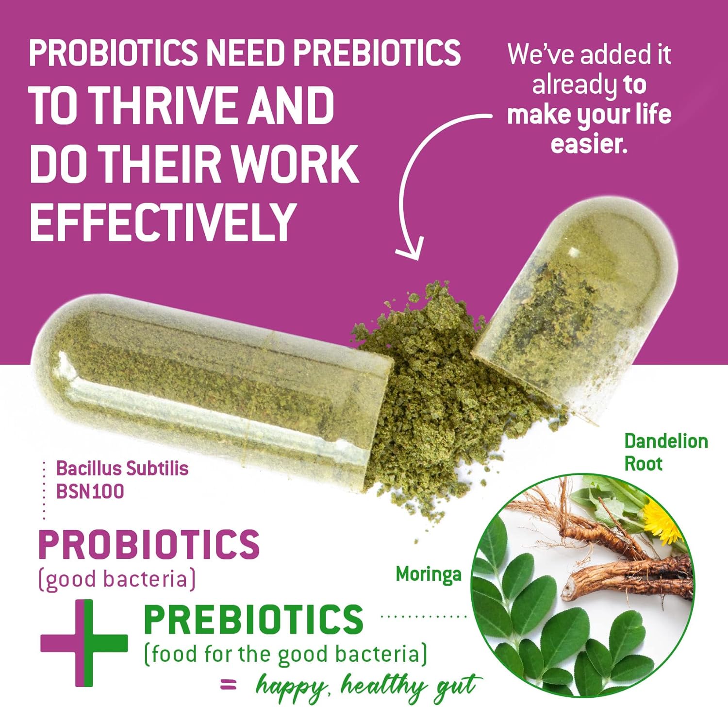 high-potency-bacillus-subtilis-spore-probiotic-with-prebiotic-for-gut-health---270-vegetarian-capsules-6-billion-cfu---family-microbiome-support-4
