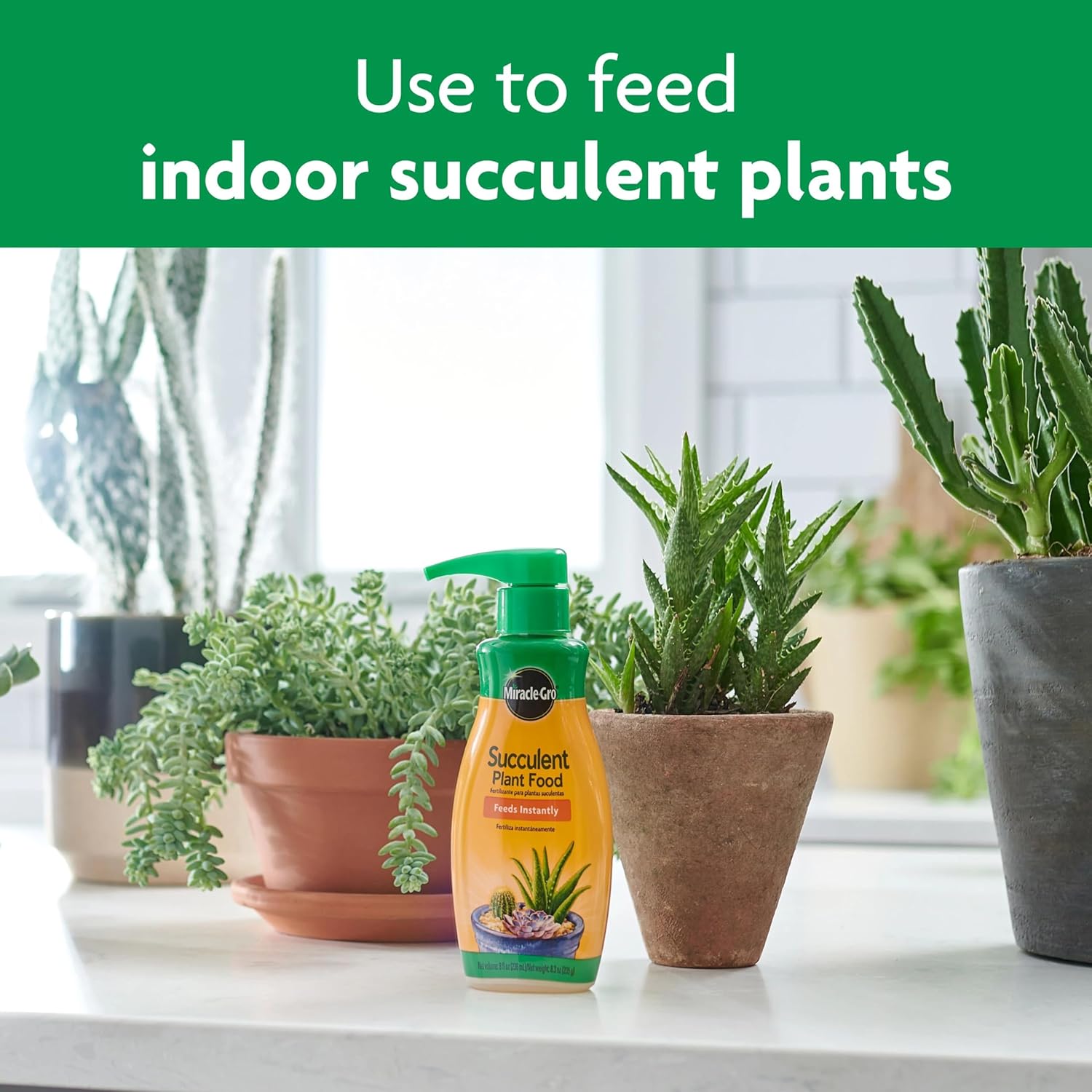 liquid-succulent-plant-food-for-indoor-plants-8-oz-bottle-pack-of-3---miracle-gro-formula-for-cacti-aloe-vera-jade-plants-and-more-5