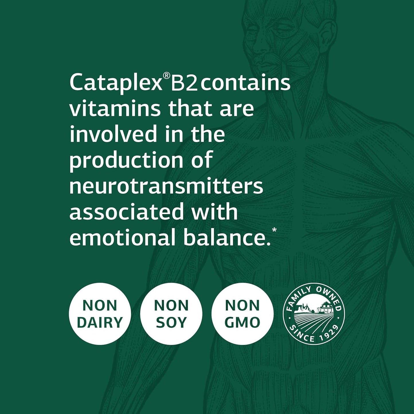 standard-process-cataplex-b2---whole-food-nervous-system-support-for-metabolism-brain-and-liver---360-tablets-3