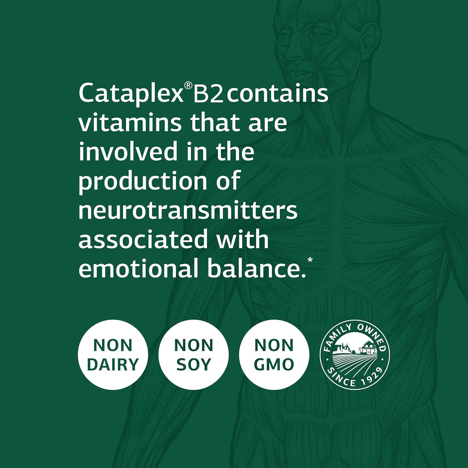 standard-process-cataplex-b2---whole-food-nervous-system-support-for-metabolism-brain-and-liver---360-tablets-3