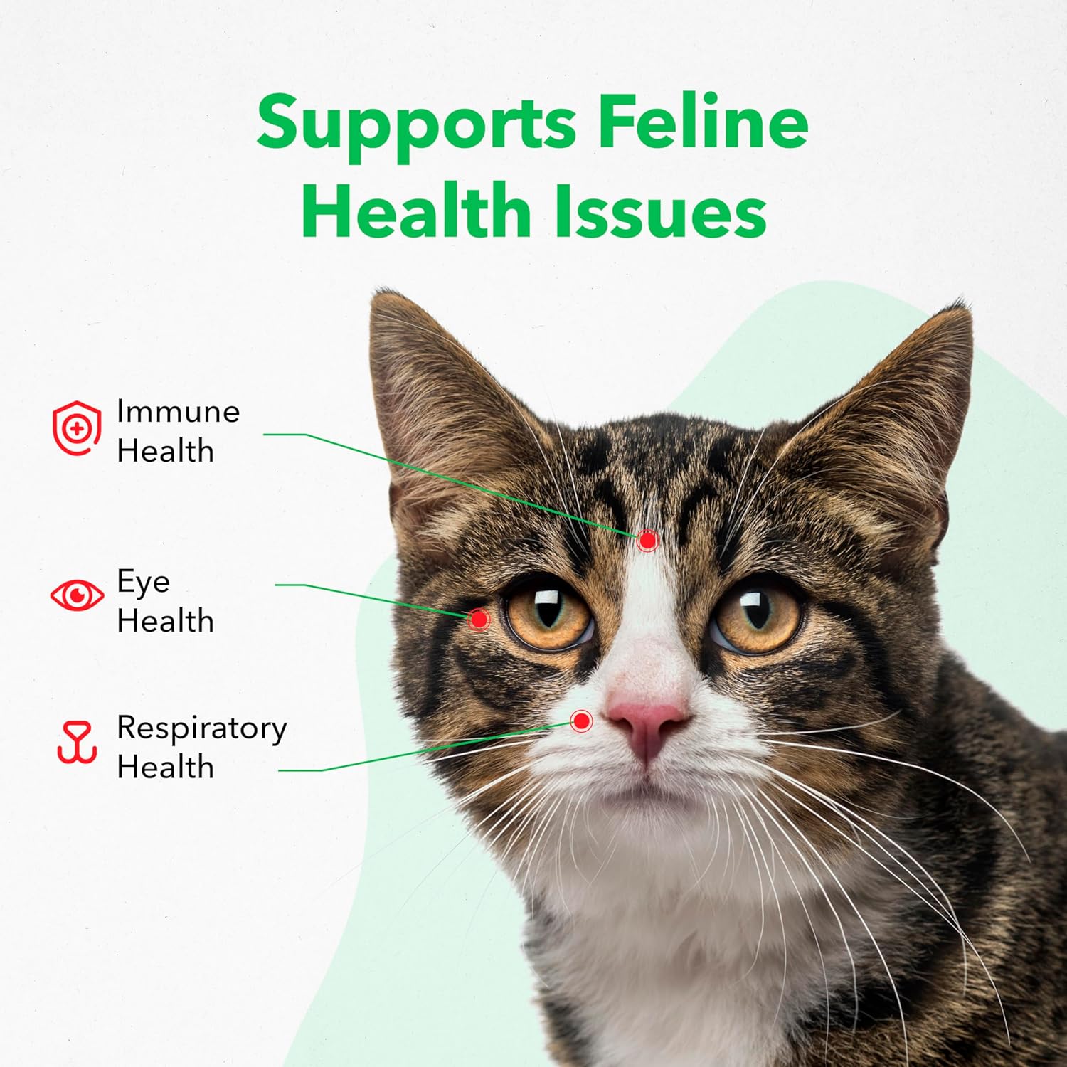 vetoquinol-viralys-gel-l-lysine-supplement-for-cats---5oz-maple-flavored-gel---supports-immune-health-allergies-runny-nose-watery-eyes---cats-kittens-of-all-ages-3