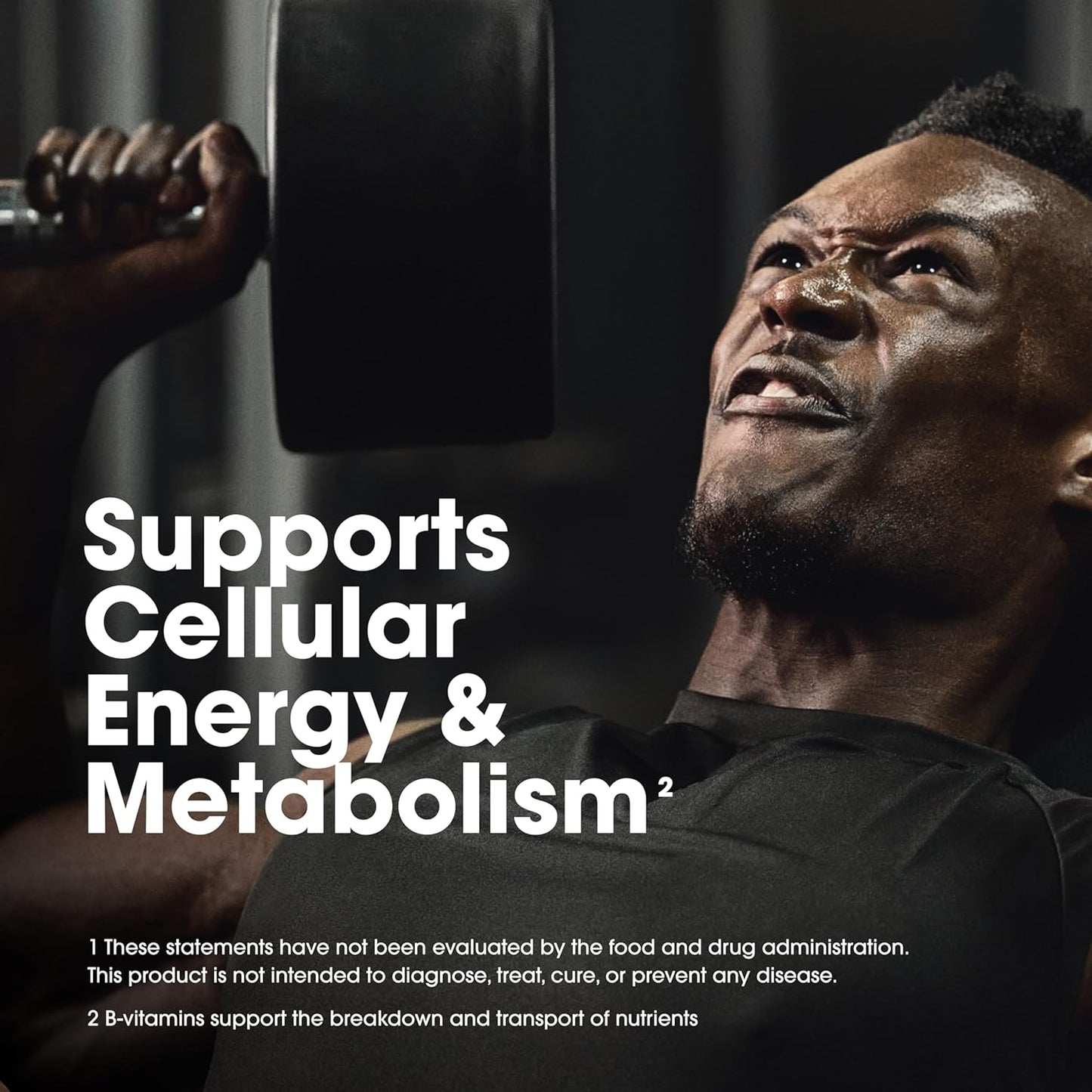 optimum-nutrition-opti-men-daily-multivitamin-for-men---immune-support-amino-acids-240-count---80-day-supply-5