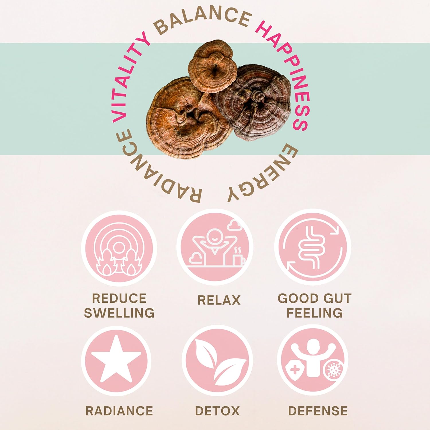 organic-reishi-mushroom-powder-by-eleven-tlc-us-grown-3rd-party-tested-ganoderma-lucidum-for-mind-body-energy-balance-and-immune-wellness---vegan-gmo-free-40-servings-6