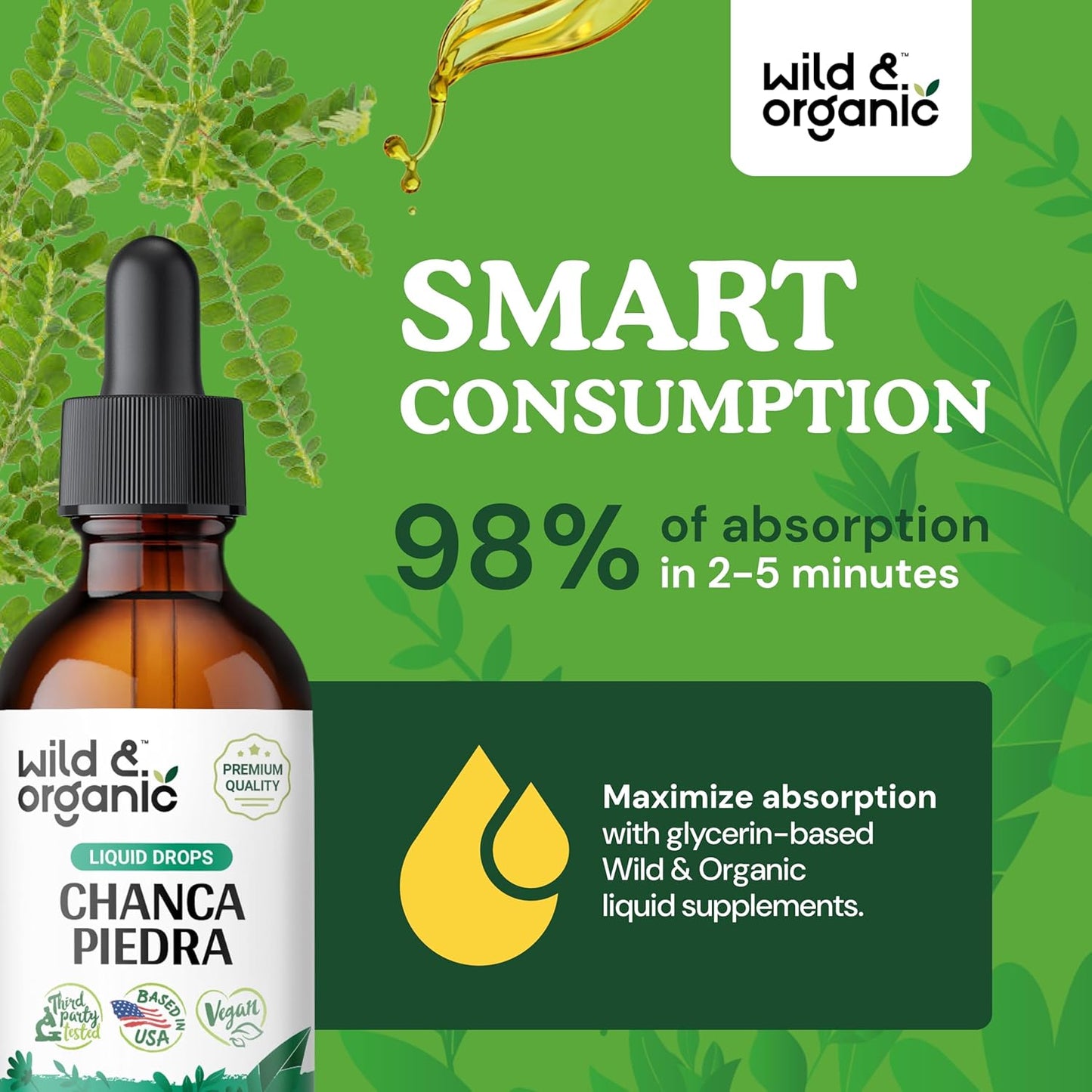 organic-chanca-piedra-liquid-extract-drops---kidney-stone-gallbladder-support---herbal-tincture-for-urinary-health---vegan-alcohol-free---2-fl-oz-4