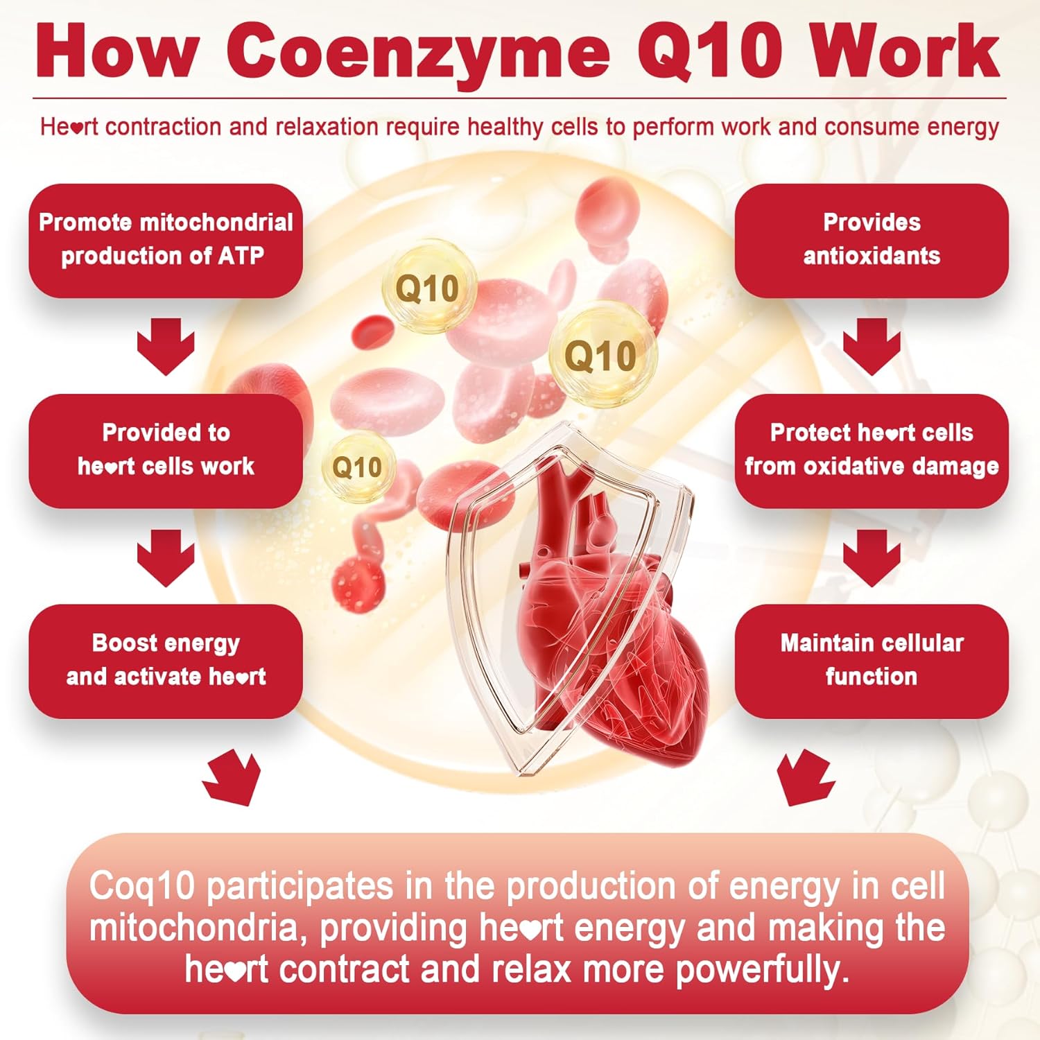 high-absorption-lilicare-sugar-free-coq10-gummies-with-magnesium-glycinate-niacin-vitamin-b3-e-folic-acid---250mg-coenzyme-q10-for-heart-health-cellular-energy-antioxidant-support-4