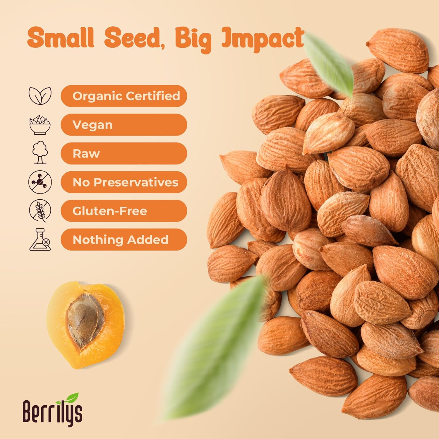 usda-certified-organic-bitter-apricot-kernels---premium-quality-natural-non-gmo-seeds---no-sulfur-or-additives---10-oz-5