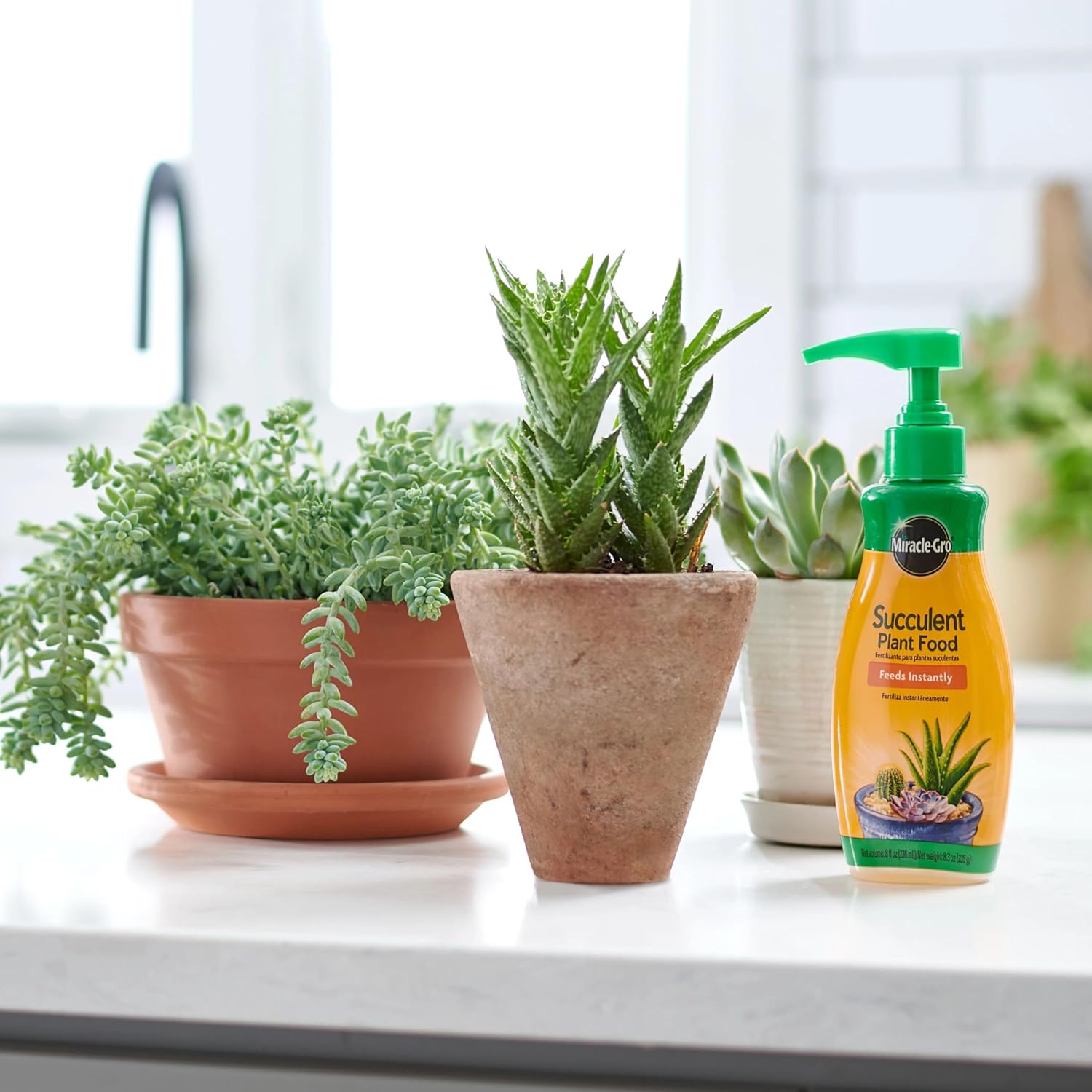 liquid-succulent-plant-food-for-indoor-plants-8-oz-bottle-pack-of-3---miracle-gro-formula-for-cacti-aloe-vera-jade-plants-and-more-3