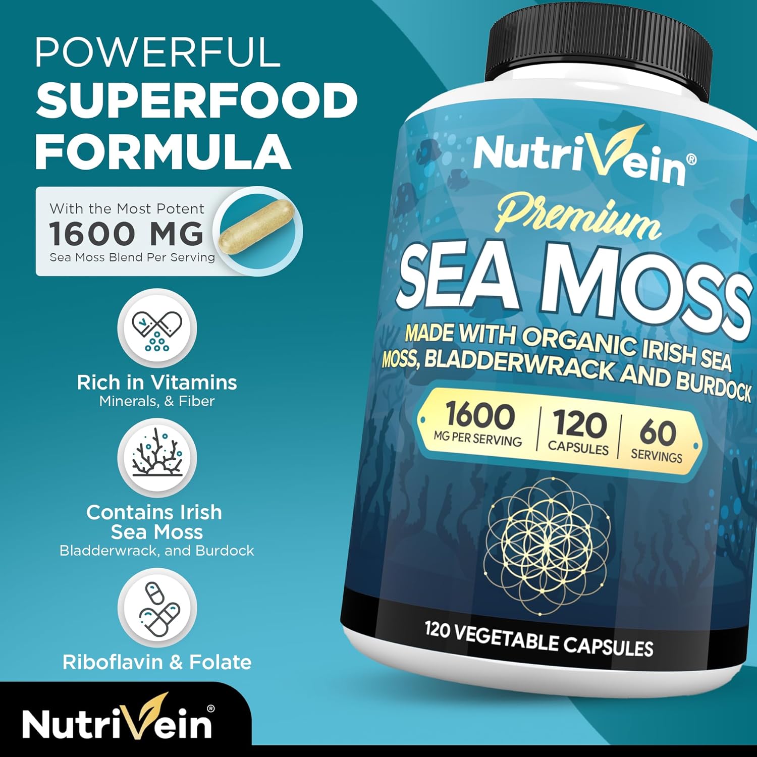premium-irish-sea-moss-berberine-and-ashwagandha-capsules-bundle-for-digestion-balance---high-absorption-berberine-hcl-ashwagandha-root-extract-sea-moss-supplements-8