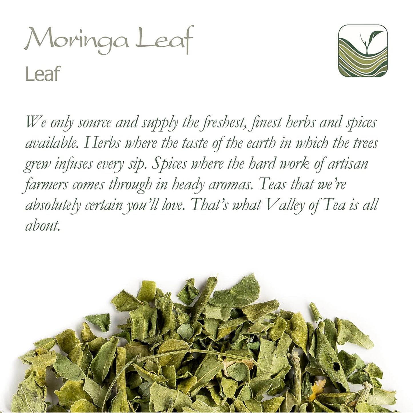 organic-moringa-oleifera-herbal-tea---ideal-for-salads-and-soups---drumstick-tree-leaves---premium-moringa-tea-blend-6