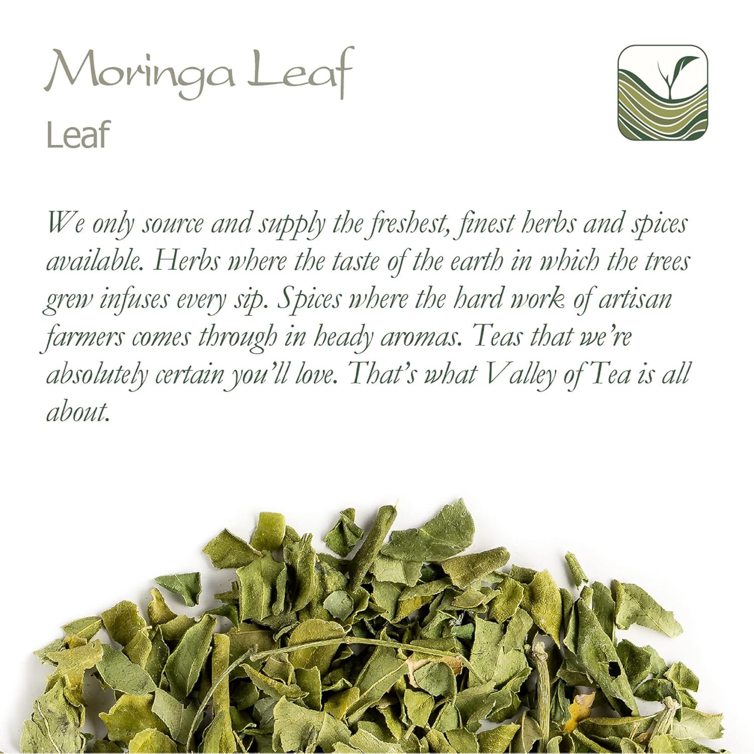 organic-moringa-oleifera-herbal-tea---ideal-for-salads-and-soups---drumstick-tree-leaves---premium-moringa-tea-blend-6