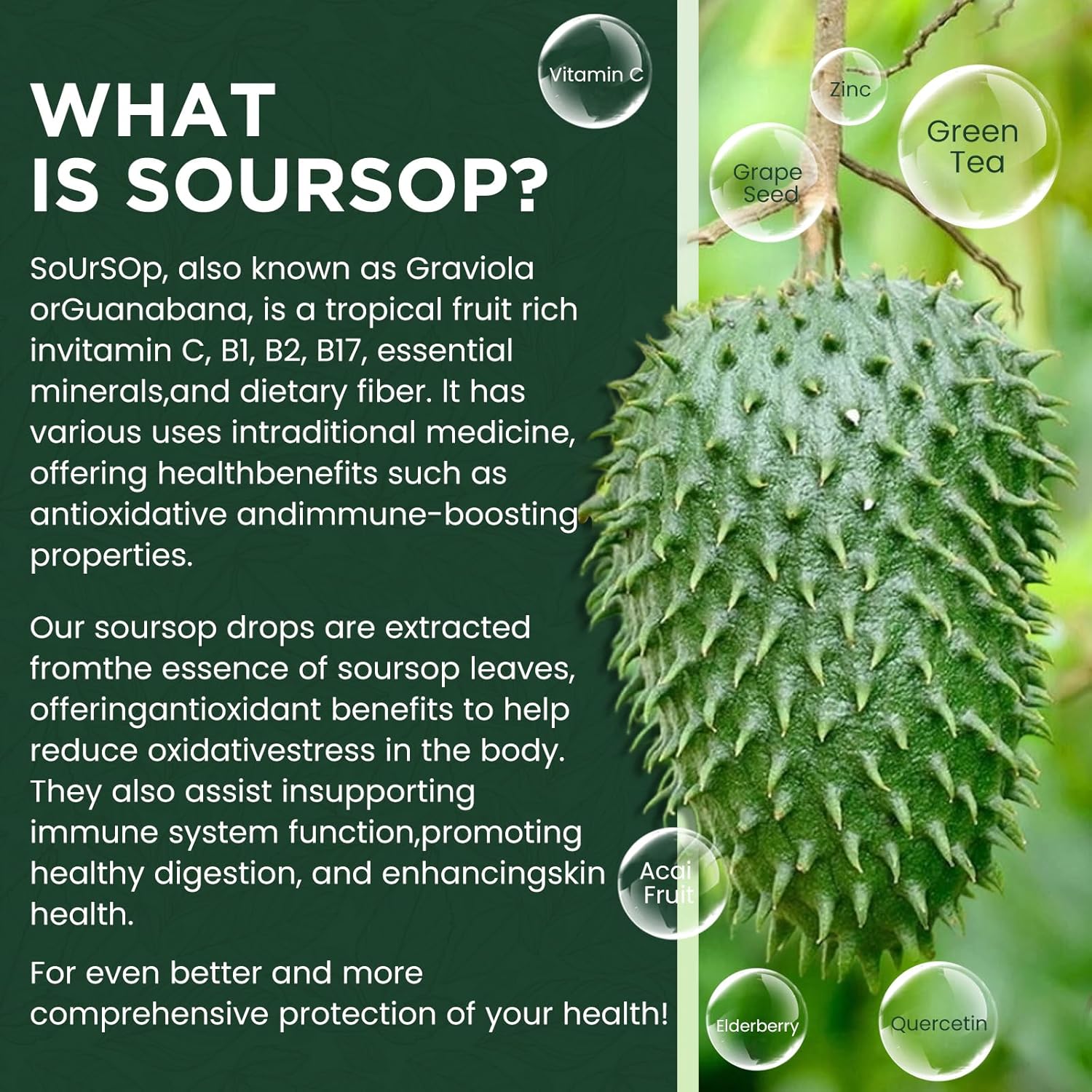 organic-soursop-graviola-liquid-drops-with-elderberry-and-quercetin---immune-boosting-herbal-supplement-with-soursop-bitters---2-fl-oz-5