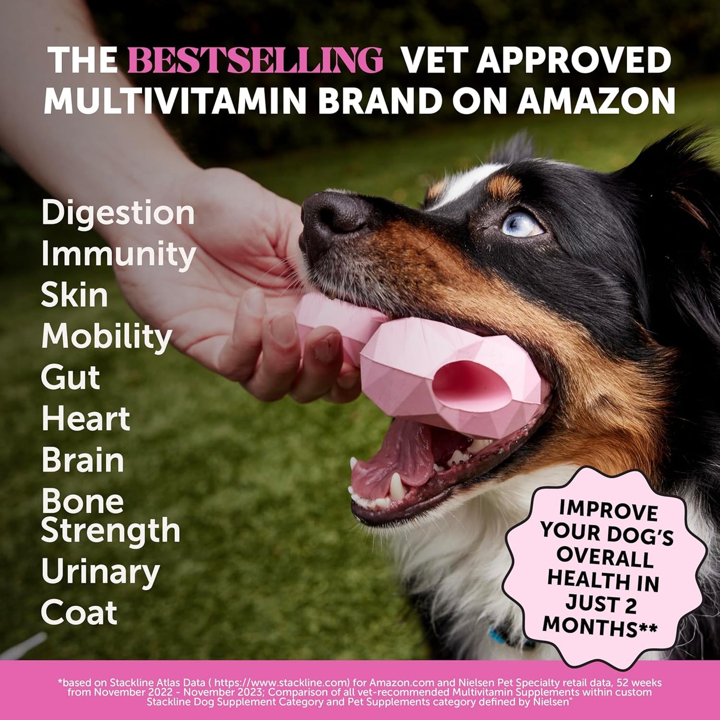 dog-multivitamin-supplement-with-glucosamine-chondroitin-probiotics-omega-fish-oil-peanut-butter-flavor---90-ct---supports-skin-coat-allergies-2