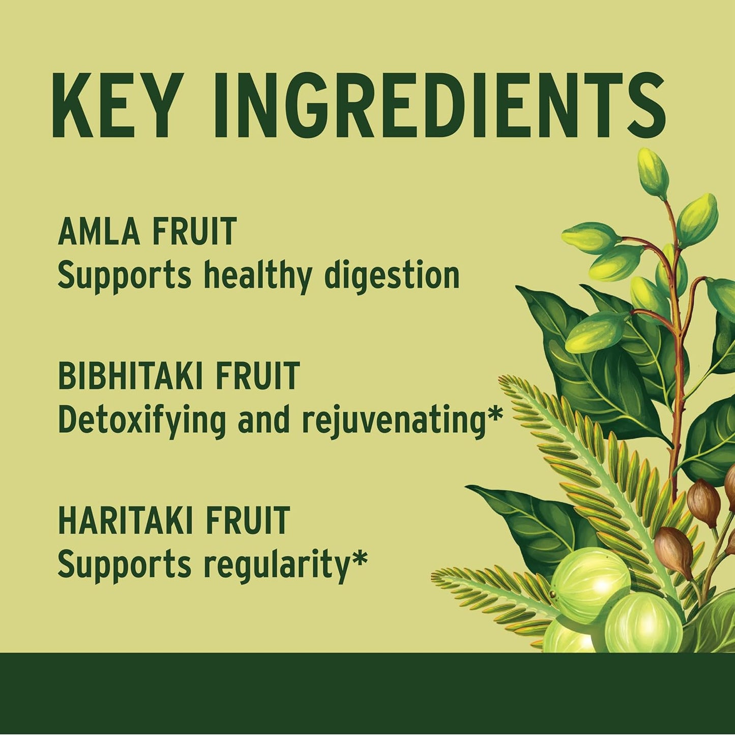 organic-triphala-tablets-with-amla-haritaki-bibhitaki-for-digestion---180-tablets---non-gmo-vegan-supplement-for-healthy-gut-microbiome-5