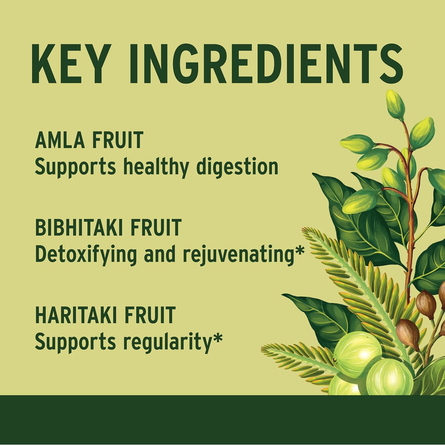 organic-triphala-tablets-with-amla-haritaki-bibhitaki-for-digestion---180-tablets---non-gmo-vegan-supplement-for-healthy-gut-microbiome-5