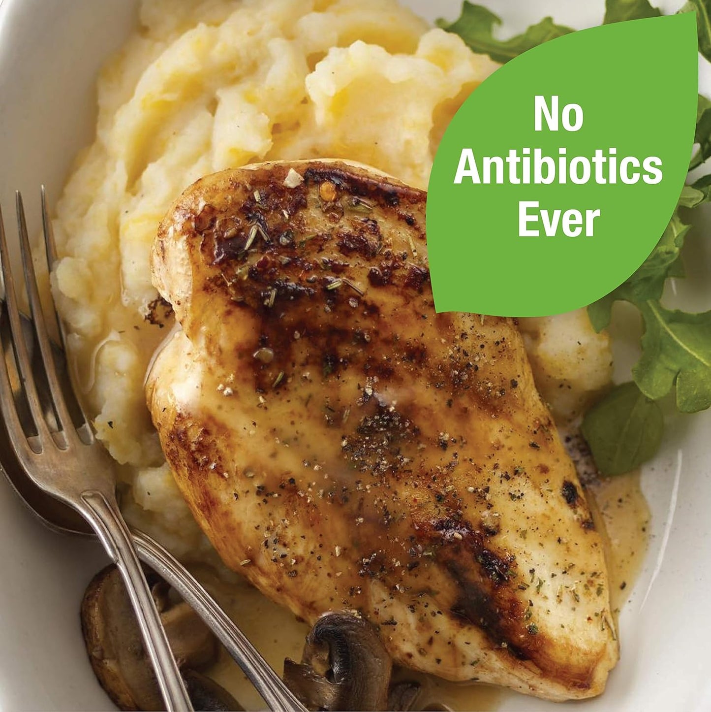 organic-fresh-chicken-breast-fillets---antibiotic-free-boneless-skinless---10-lb-3