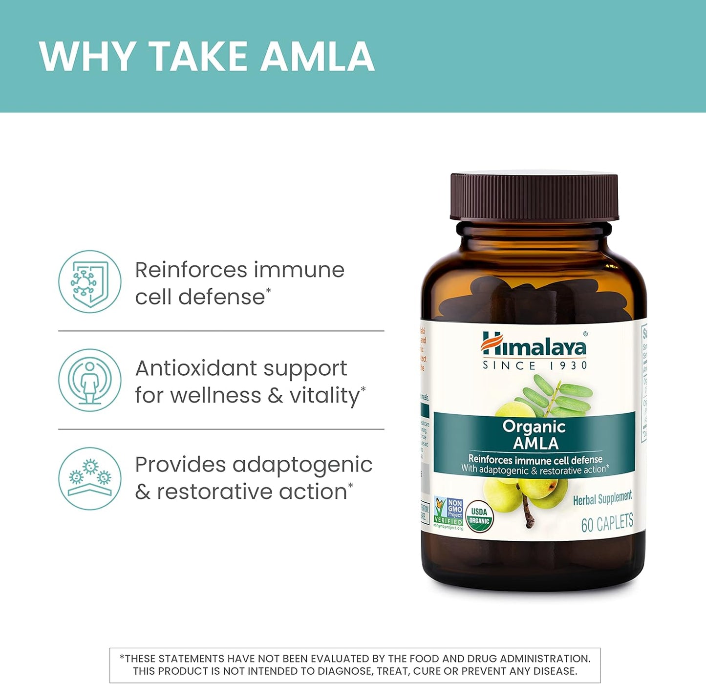 himalaya-organic-amla-caplets---natural-antioxidant-for-immune-support-60-count-30-day-supply-3