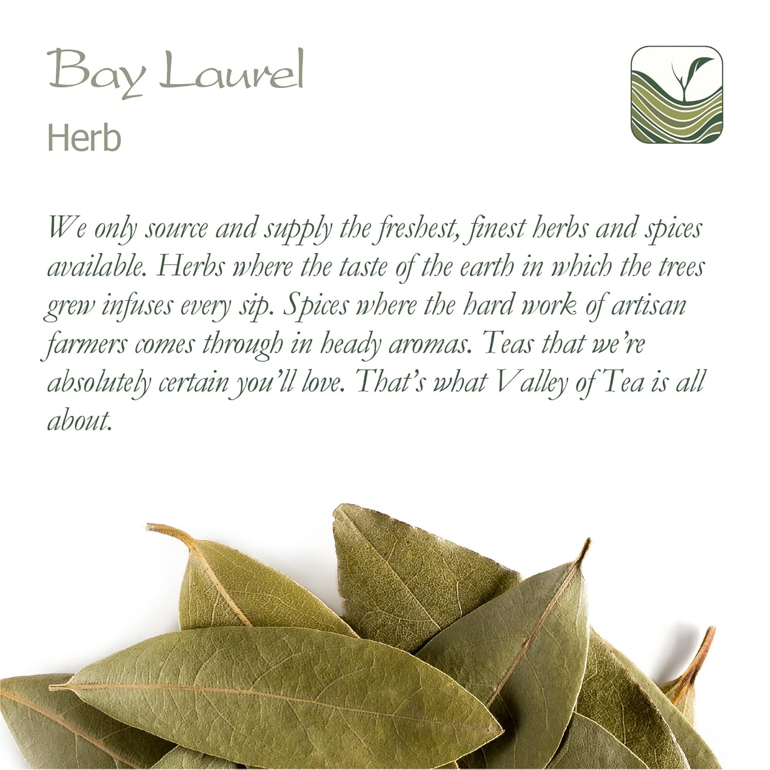 organic-bay-leaf-laurel-herb---whole-culinary-quality-leaves-from-valley-of-tea---dry-and-organic-bay-leaves-for-cooking-6