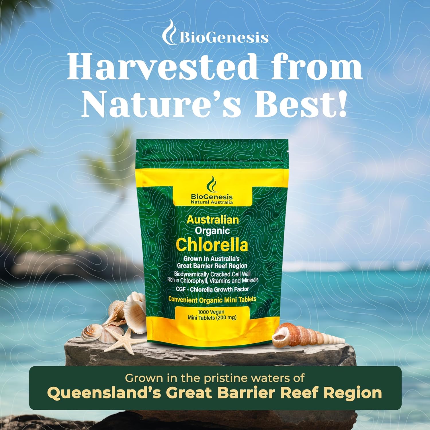 australian-biogenesis-organic-chlorella-tablets-nutrient-rich-vegan-supplement-with-vitamins-minerals-and-cgf-advanced-biodynamic-cracked-cell-wall-for-optimal-absorption-1000-tablets-3