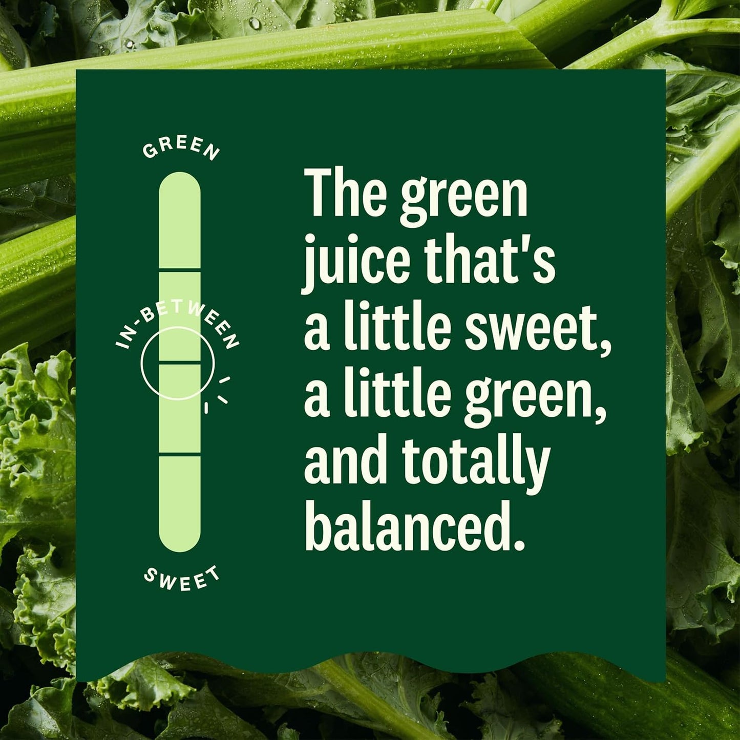 organic-suja-mighty-dozen-juice-blend---celery-cucumber-kale-collard-greens-apple---12-fl-oz-bottle-7