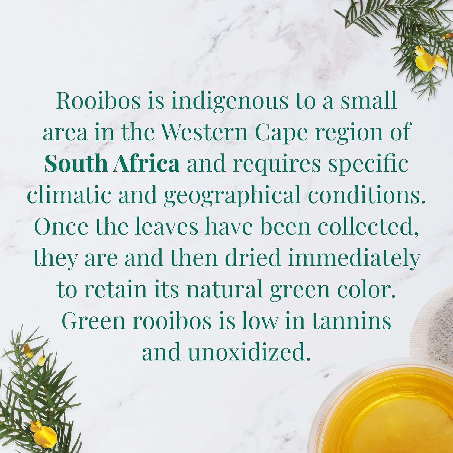 organic-south-african-green-rooibos-superherb-tea-tin---36-herbal-tea-bags---caffeine-free---the-republic-of-tea-3
