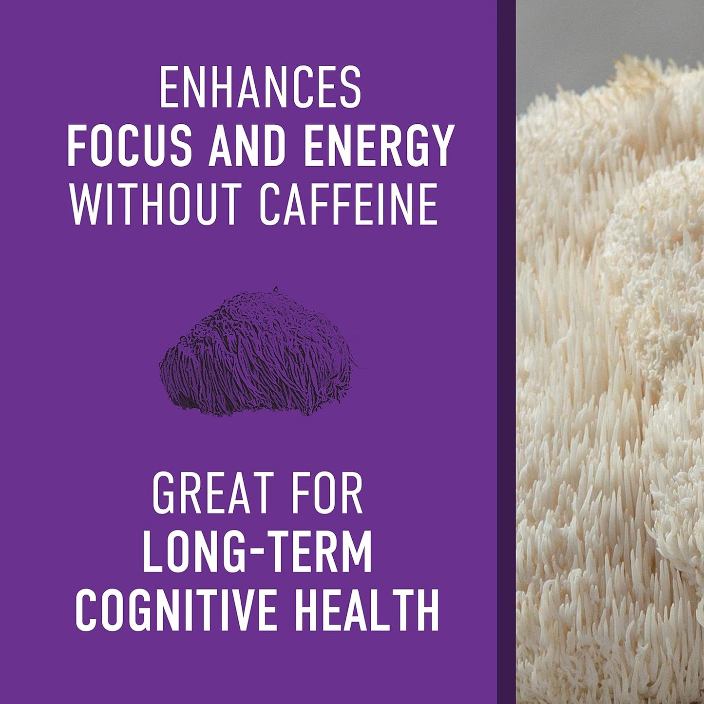 Organic Lions Mane Mushroom Supplement for Mental Clarity and Focus - 45g Powder Extract - Cognitive Function Support - 30 Servings - Espot.com.au