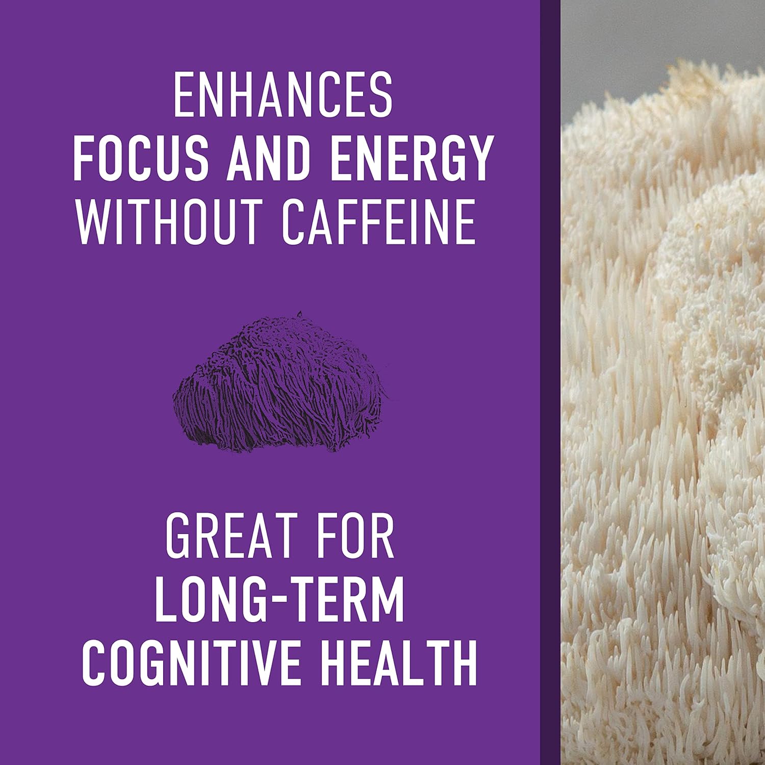 Organic Lions Mane Mushroom Supplement for Mental Clarity and Focus - 45g Powder Extract - Cognitive Function Support - 30 Servings - Espot.com.au