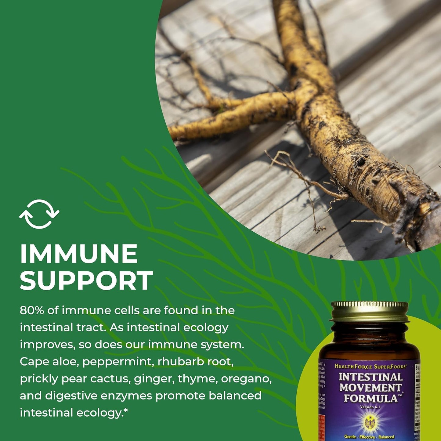 natural-laxative-for-bowel-regularity---intestinal-movement-formula---digestion-support-for-constipation---50-capsules-gluten-free-vegan-6