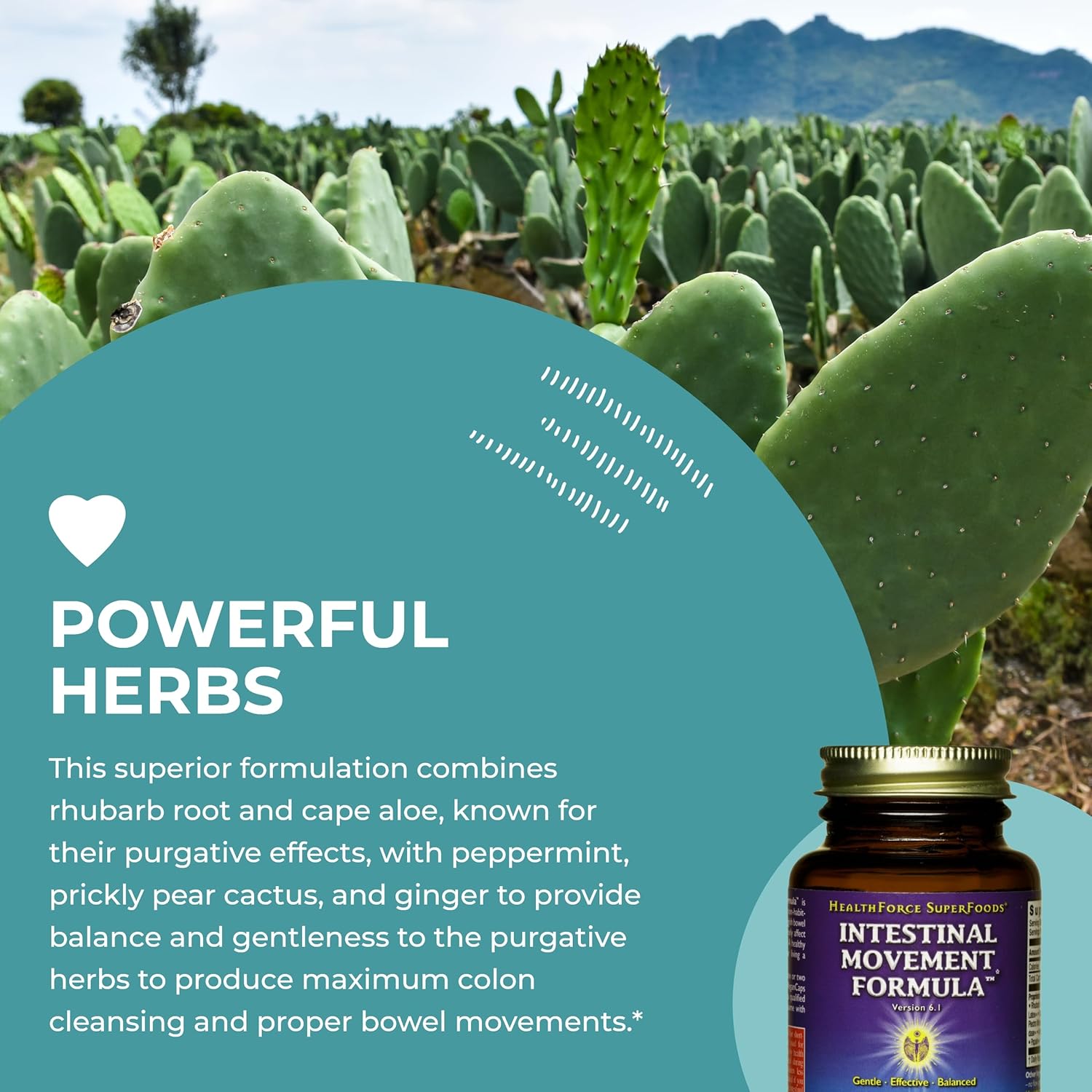 natural-laxative-for-bowel-regularity---intestinal-movement-formula---digestion-support-for-constipation---50-capsules-gluten-free-vegan-5